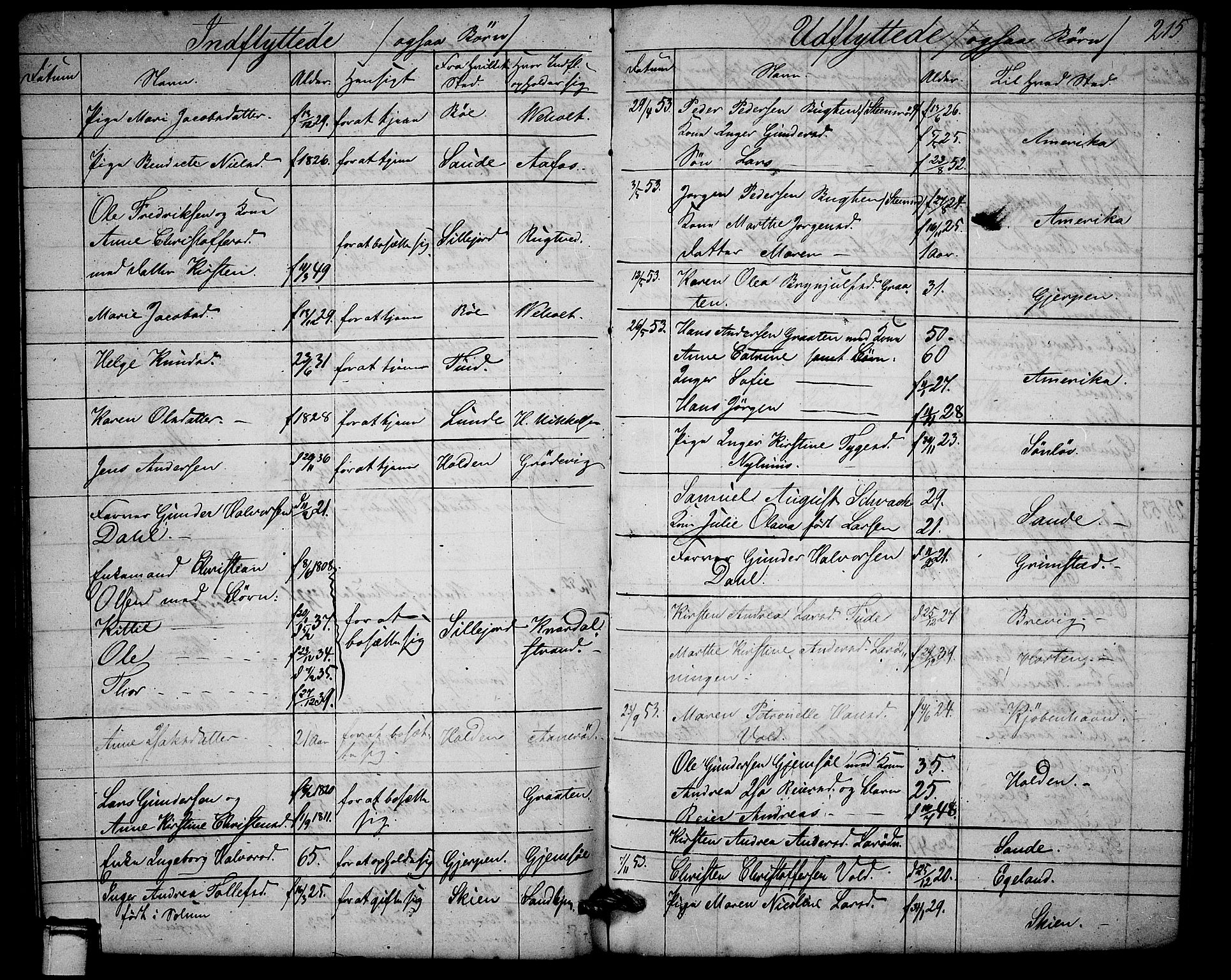 Solum kirkebøker, AV/SAKO-A-306/G/Ga/L0003: Parish register (copy) no. I 3, 1848-1859, p. 215