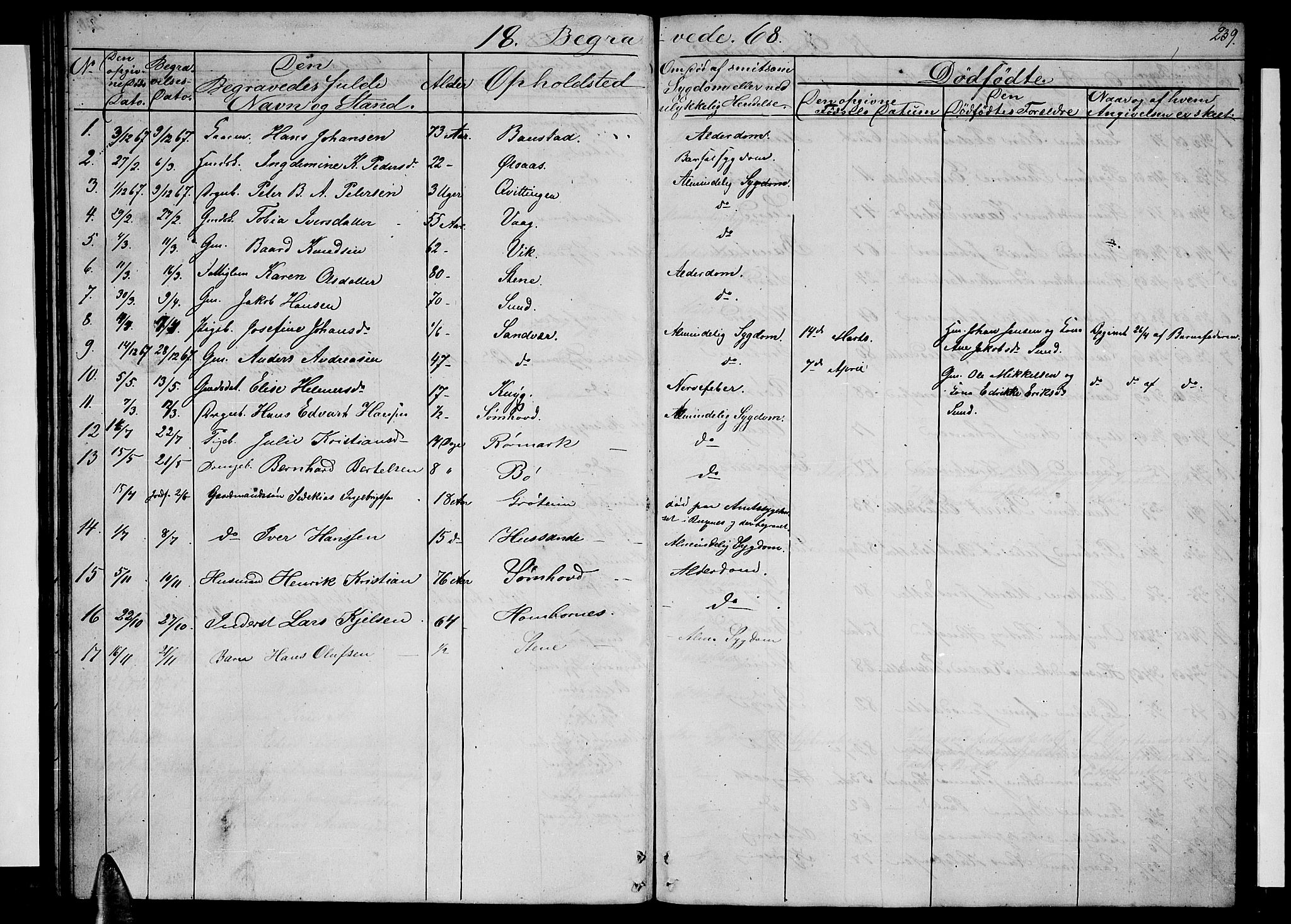Ministerialprotokoller, klokkerbøker og fødselsregistre - Nordland, SAT/A-1459/812/L0187: Parish register (copy) no. 812C05, 1850-1883, p. 239