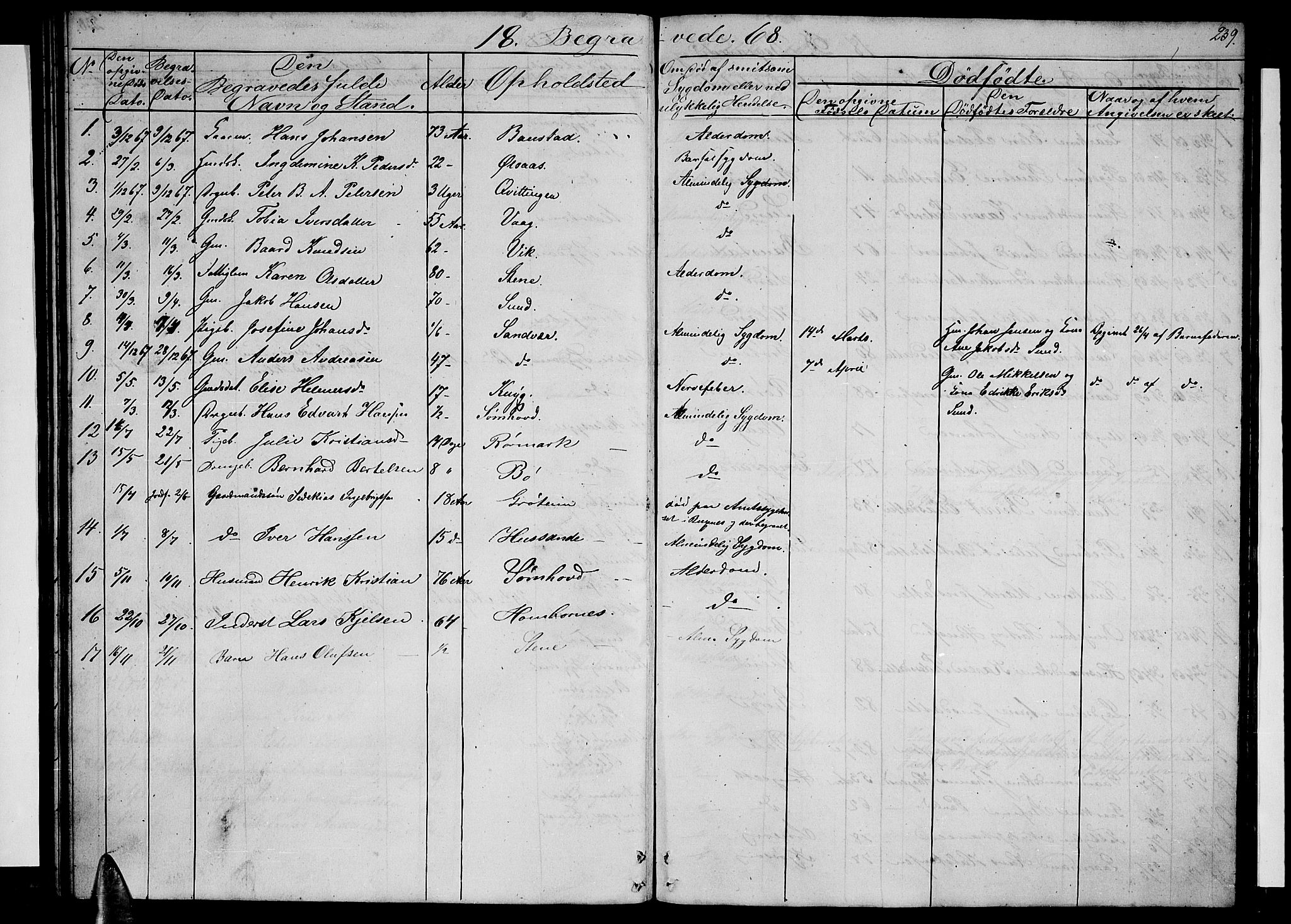 Ministerialprotokoller, klokkerbøker og fødselsregistre - Nordland, AV/SAT-A-1459/812/L0187: Parish register (copy) no. 812C05, 1850-1883, p. 239