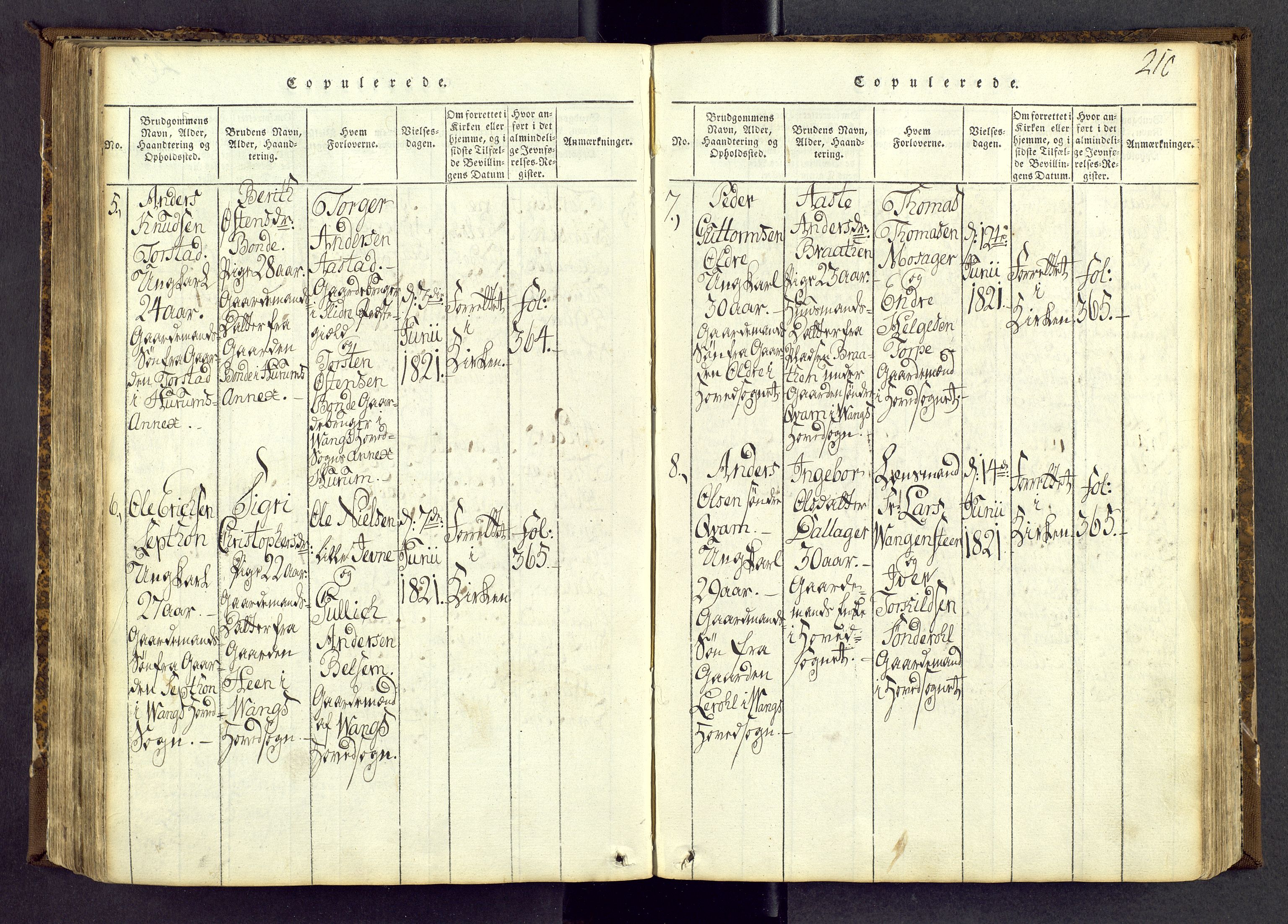 Vang prestekontor, Valdres, SAH/PREST-140/H/Ha/L0004: Parish register (official) no. 4, 1814-1831, p. 210
