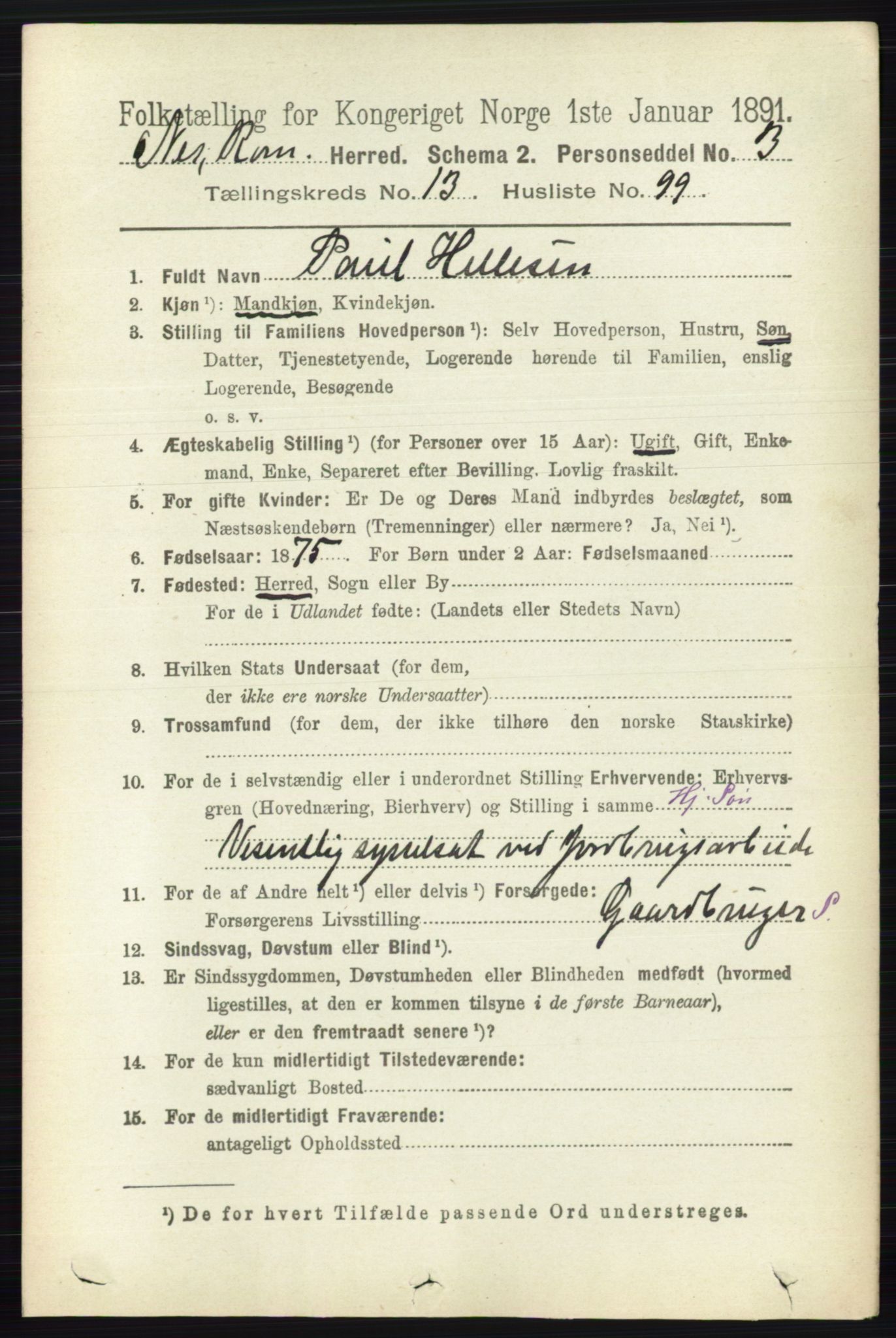 RA, 1891 census for 0236 Nes, 1891, p. 8406