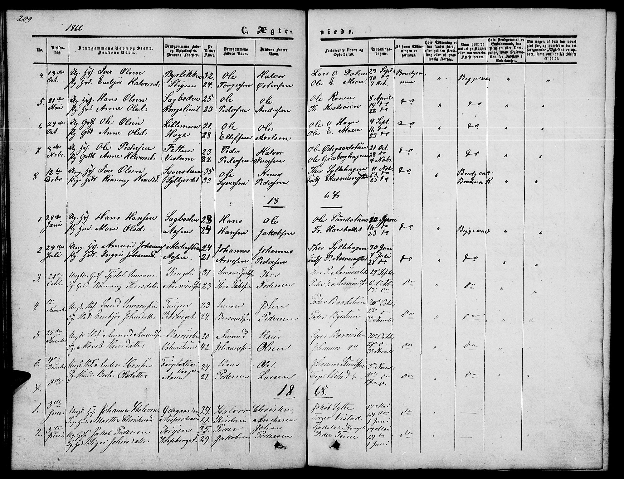 Nord-Fron prestekontor, SAH/PREST-080/H/Ha/Hab/L0002: Parish register (copy) no. 2, 1851-1883, p. 209