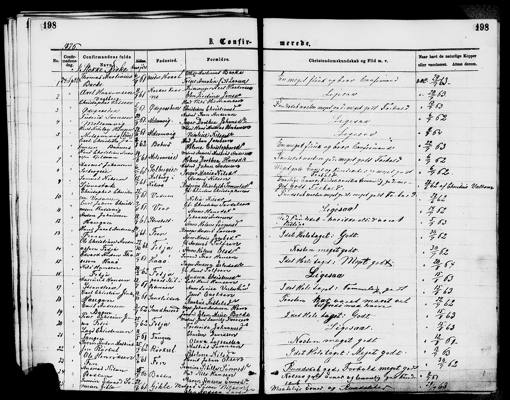 Stokke kirkebøker, SAKO/A-320/F/Fa/L0009: Parish register (official) no. I 9, 1872-1883, p. 198