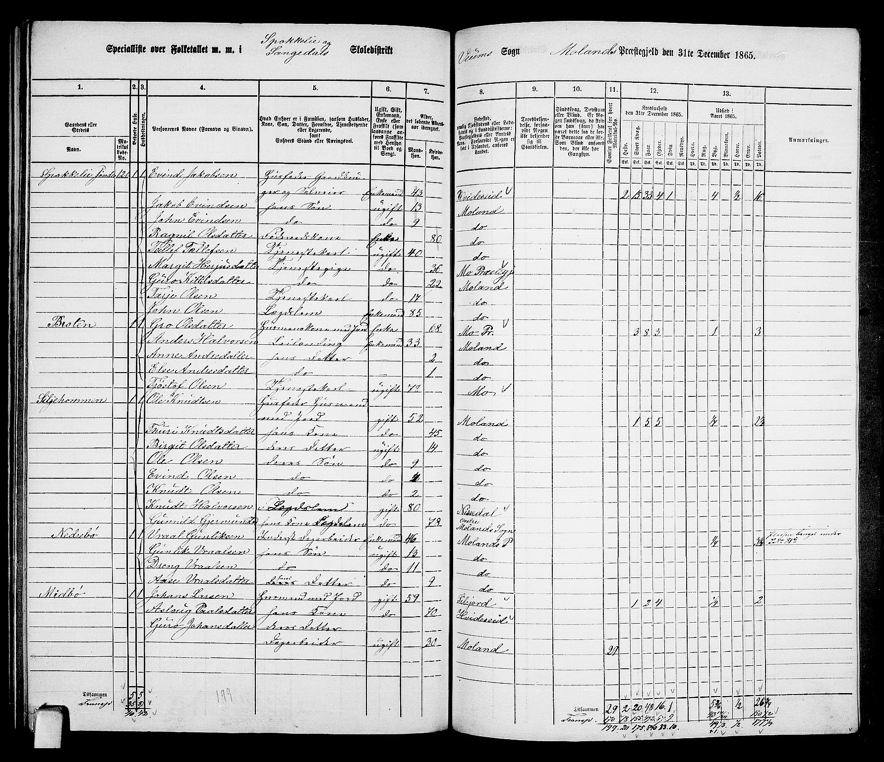 RA, 1865 census for Moland, 1865, p. 85