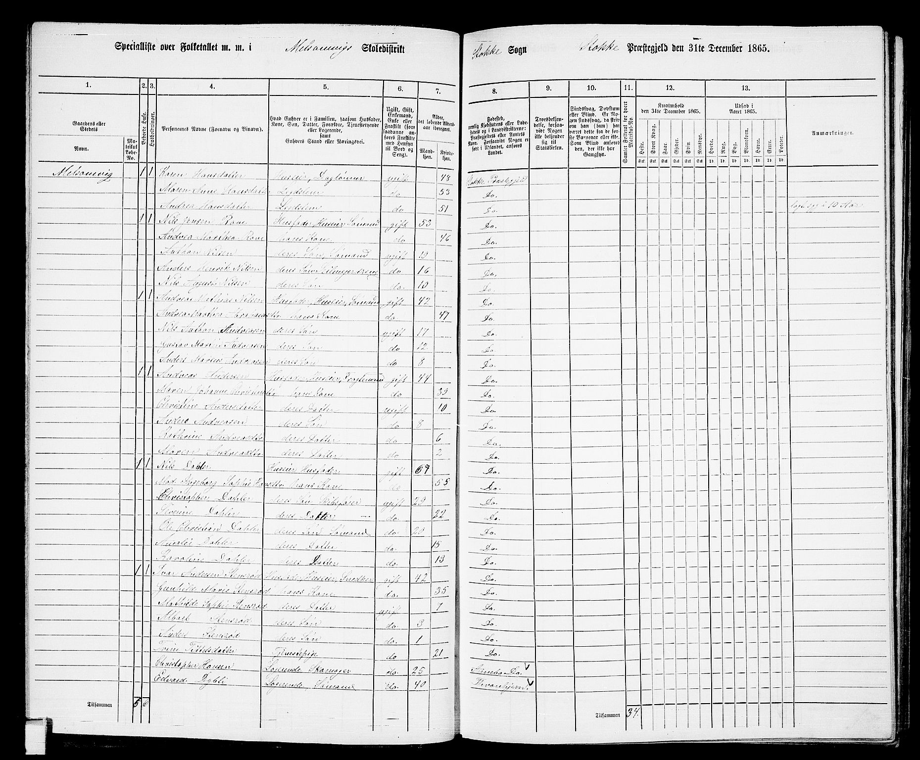 RA, 1865 census for Stokke, 1865, p. 45