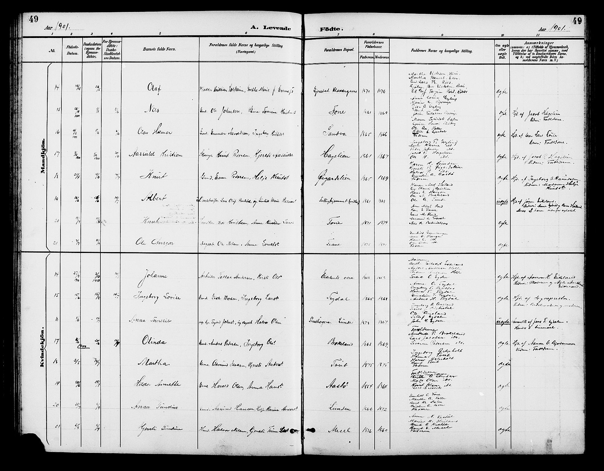 Gjerstad sokneprestkontor, AV/SAK-1111-0014/F/Fb/Fba/L0007: Parish register (copy) no. B 7, 1891-1908, p. 49