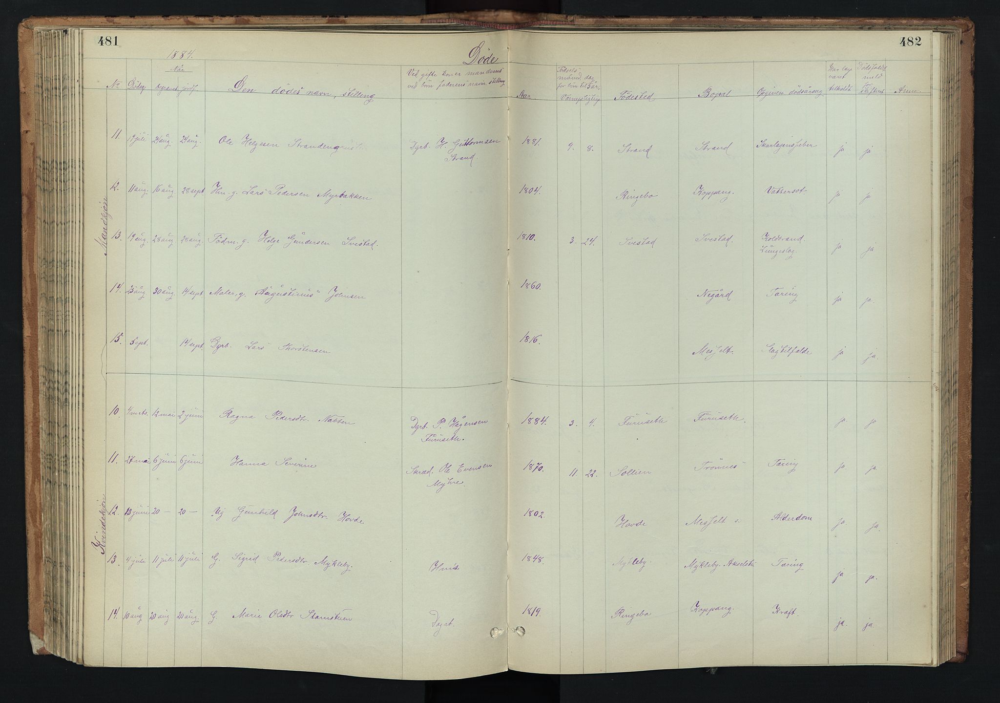 Stor-Elvdal prestekontor, AV/SAH-PREST-052/H/Ha/Hab/L0002: Parish register (copy) no. 2, 1860-1894, p. 481-482