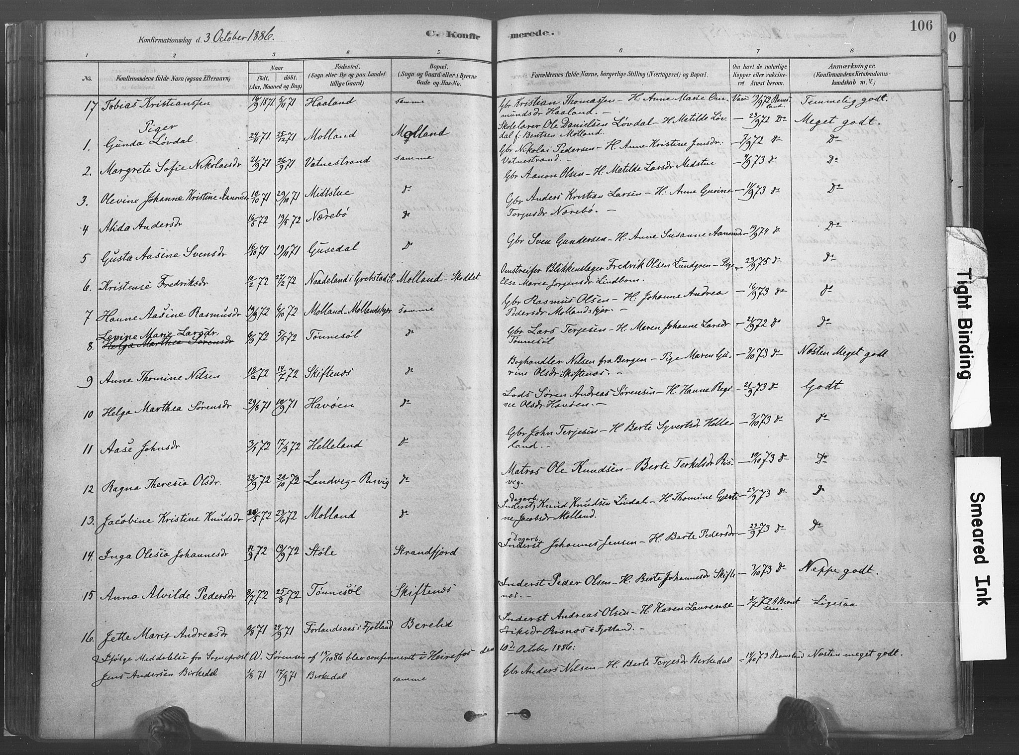 Hommedal sokneprestkontor, SAK/1111-0023/F/Fa/Fab/L0006: Parish register (official) no. A 6, 1878-1897, p. 106