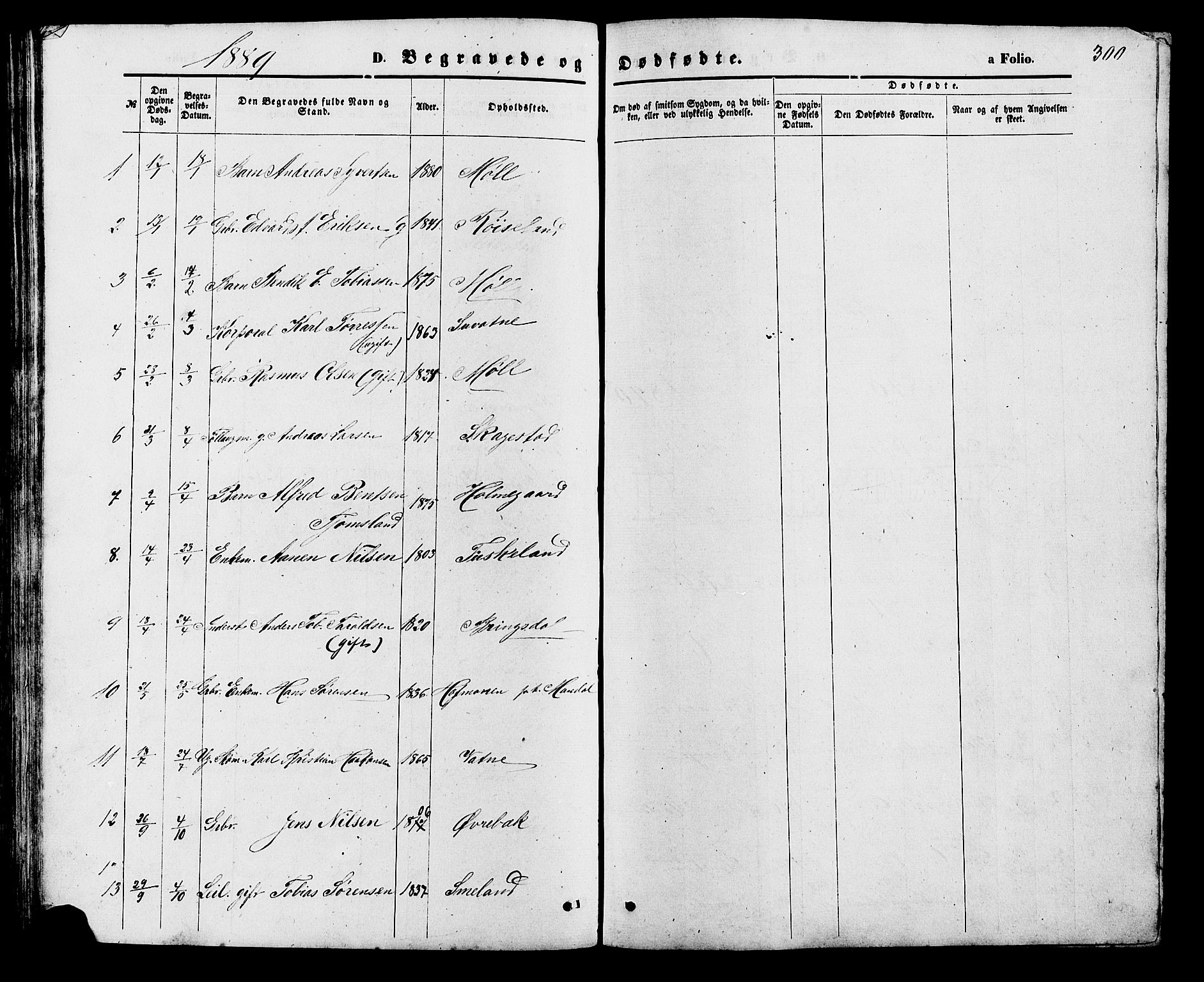 Holum sokneprestkontor, SAK/1111-0022/F/Fb/Fba/L0004: Parish register (copy) no. B 4, 1867-1890, p. 300