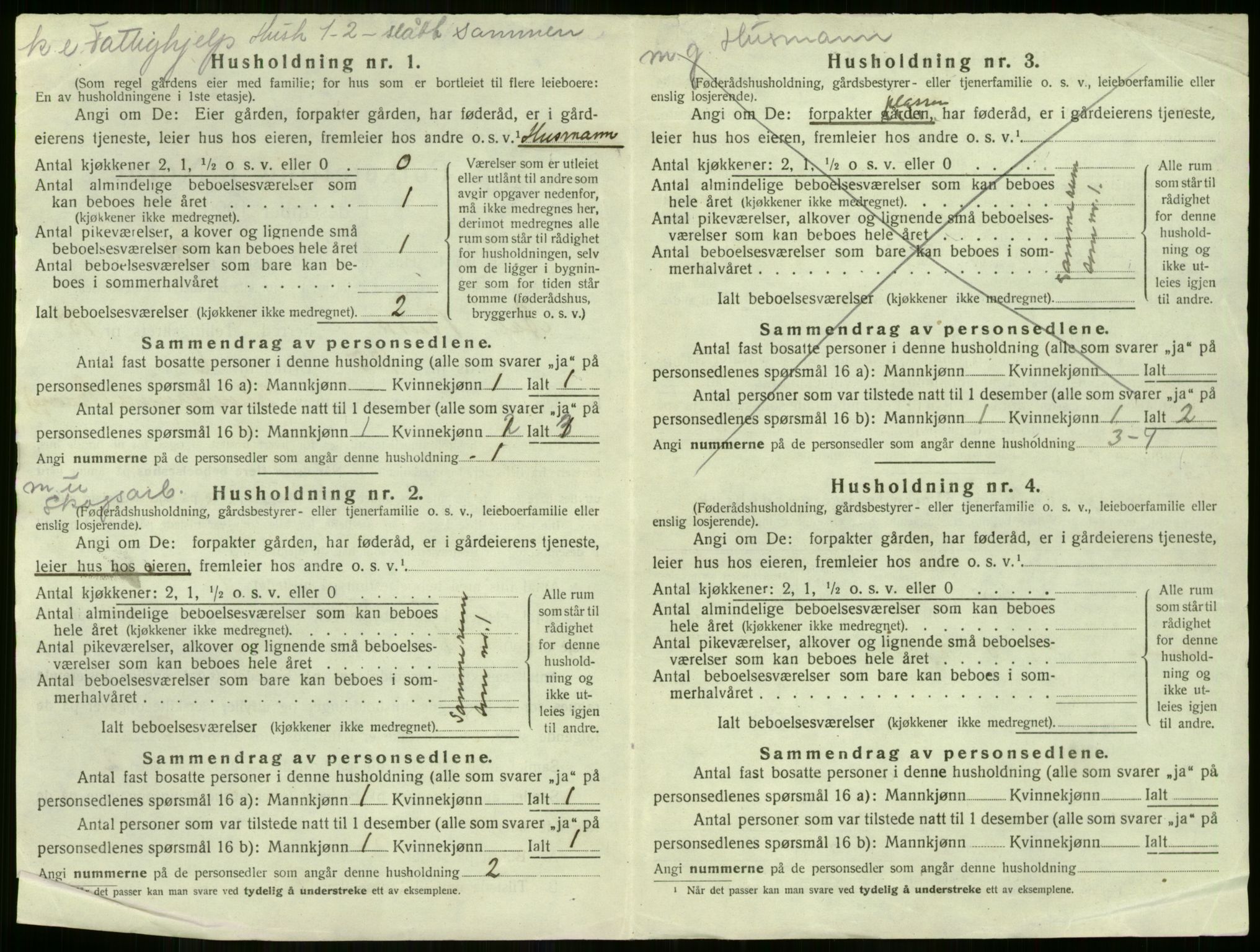 SAKO, 1920 census for Ål, 1920, p. 1393