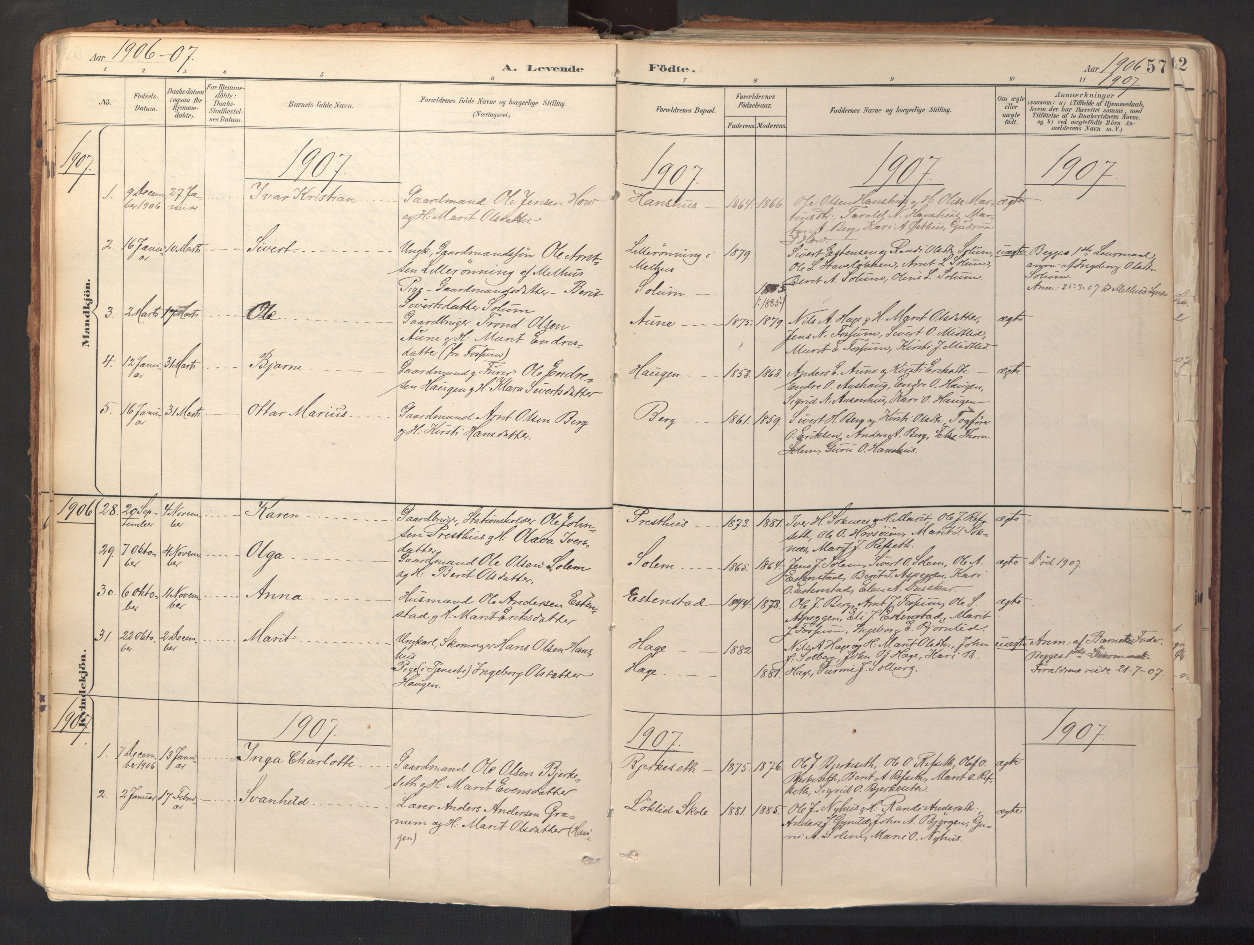 Ministerialprotokoller, klokkerbøker og fødselsregistre - Sør-Trøndelag, SAT/A-1456/689/L1041: Parish register (official) no. 689A06, 1891-1923, p. 57