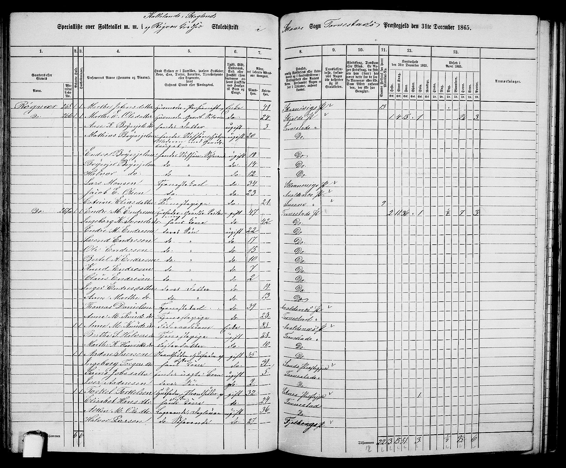 RA, 1865 census for Torvastad/Torvastad, Skåre og Utsira, 1865, p. 120