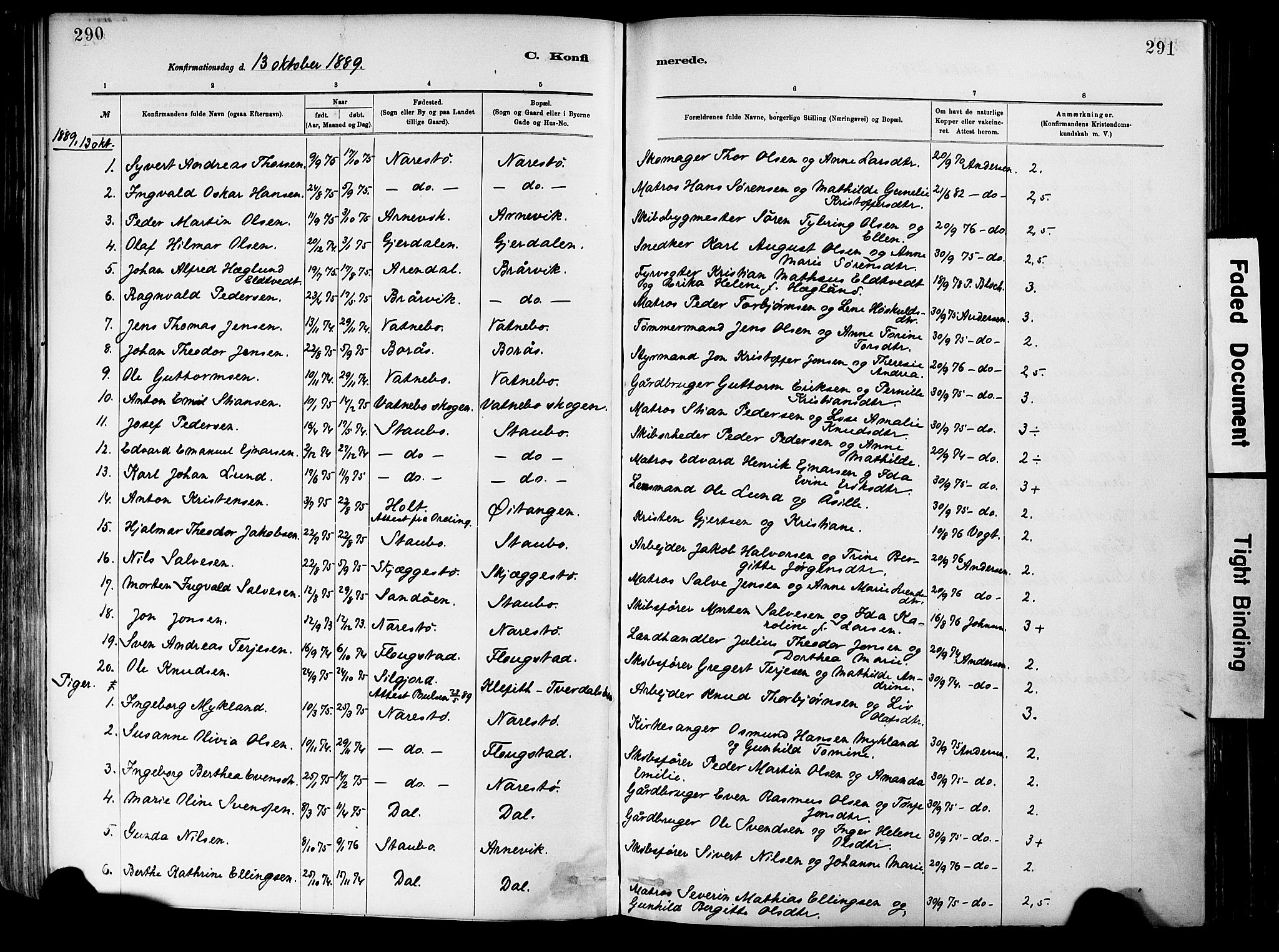 Dypvåg sokneprestkontor, SAK/1111-0007/F/Fa/Fab/L0001: Parish register (official) no. A 1, 1885-1912, p. 290-291