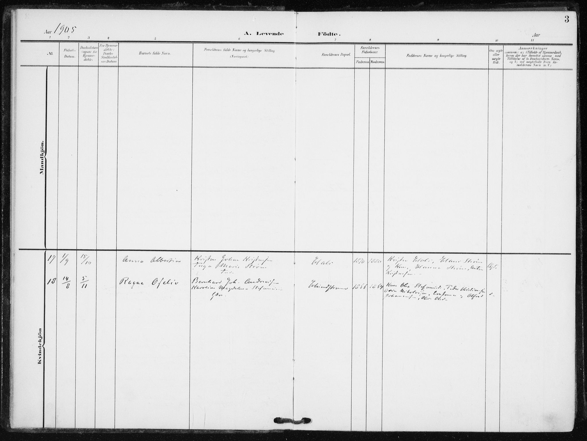 Tranøy sokneprestkontor, SATØ/S-1313/I/Ia/Iaa/L0013kirke: Parish register (official) no. 13, 1905-1922, p. 3