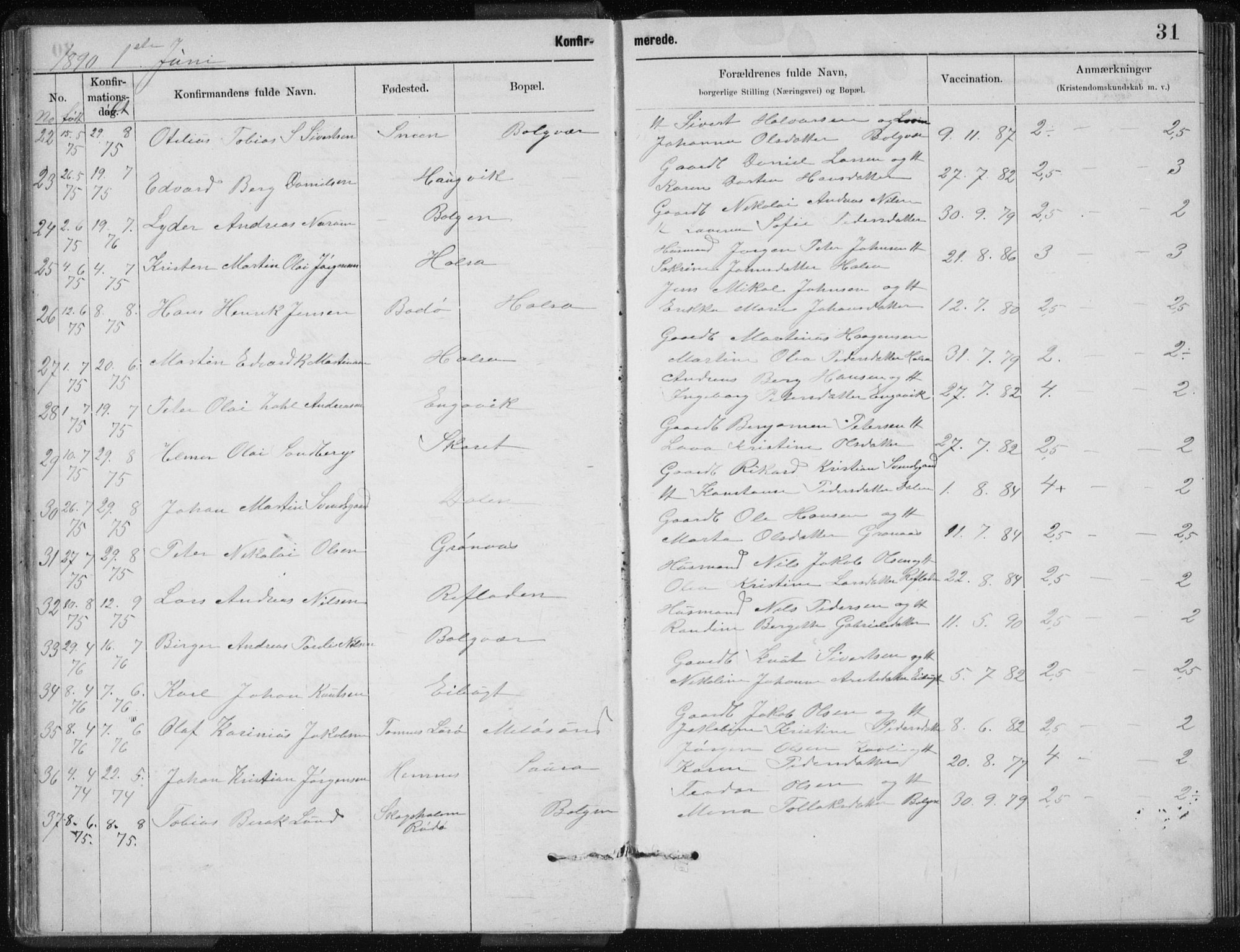 Ministerialprotokoller, klokkerbøker og fødselsregistre - Nordland, SAT/A-1459/843/L0637: Parish register (copy) no. 843C06, 1884-1908, p. 31