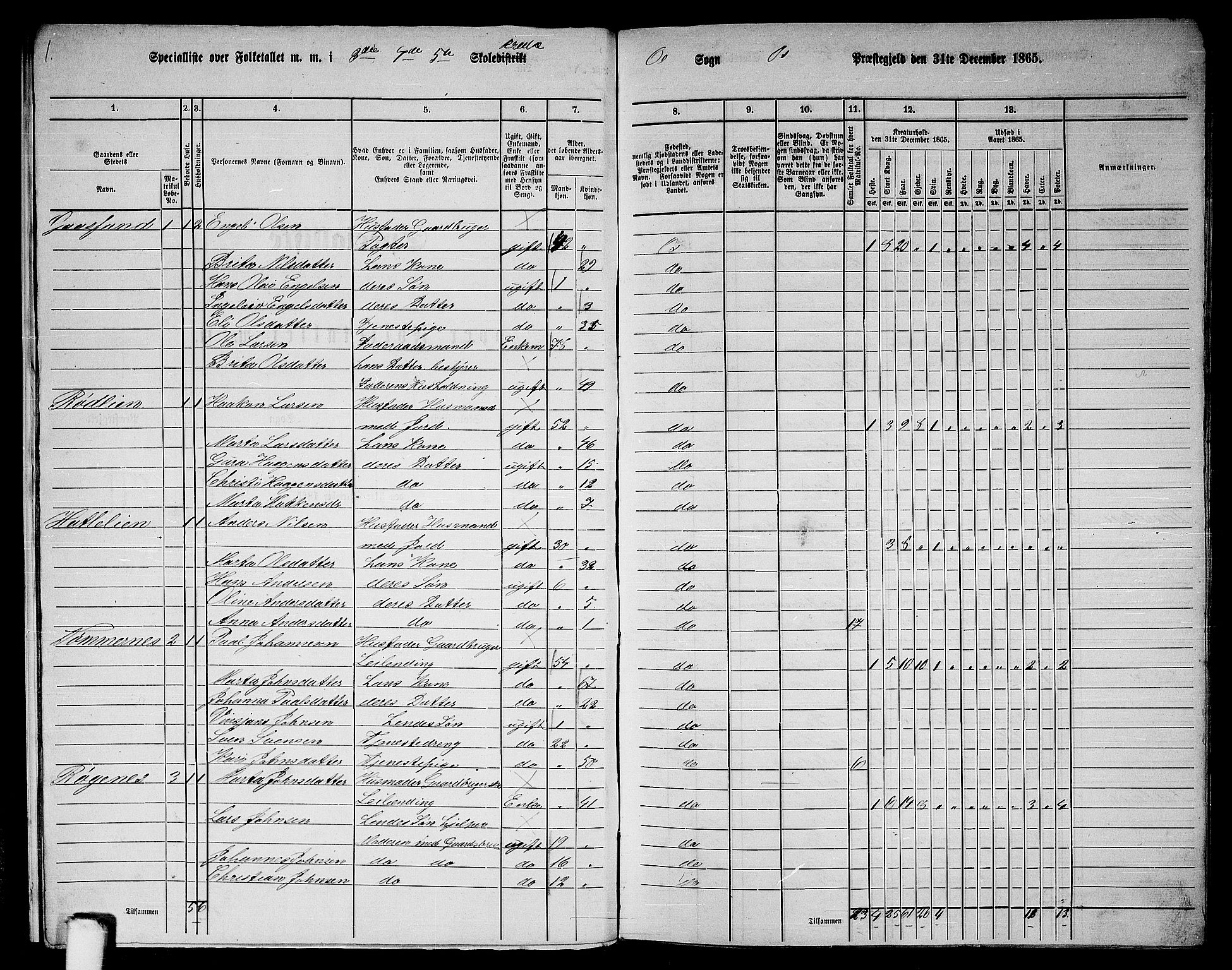 RA, 1865 census for Os, 1865, p. 12