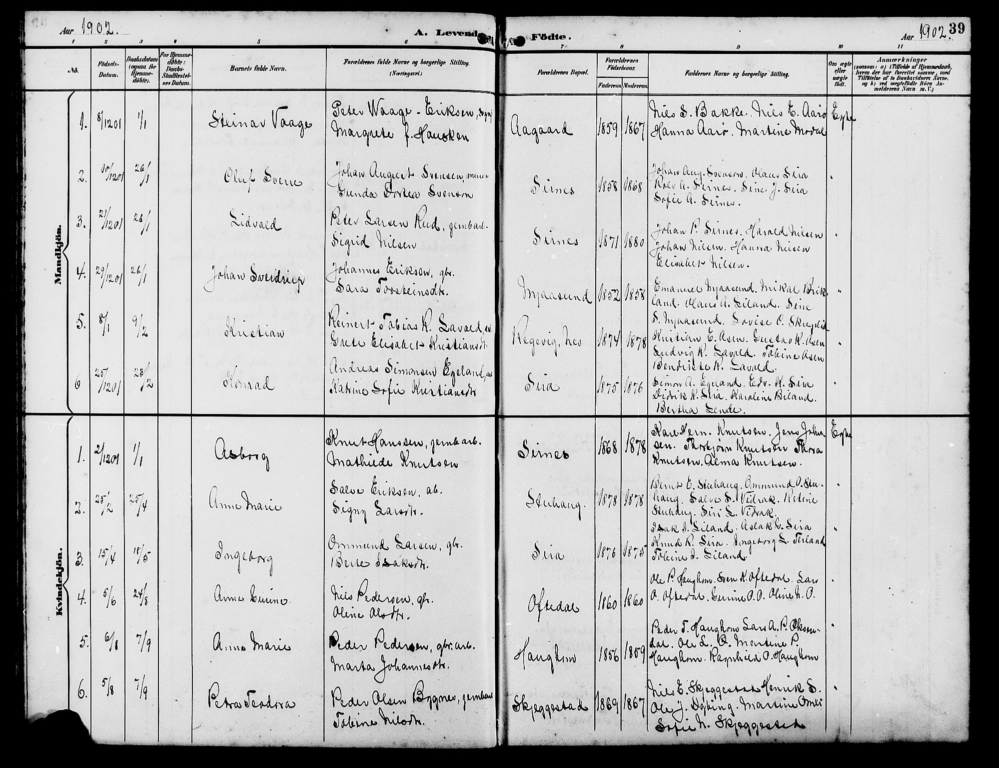 Bakke sokneprestkontor, SAK/1111-0002/F/Fb/Fba/L0003: Parish register (copy) no. B 3, 1894-1910, p. 39