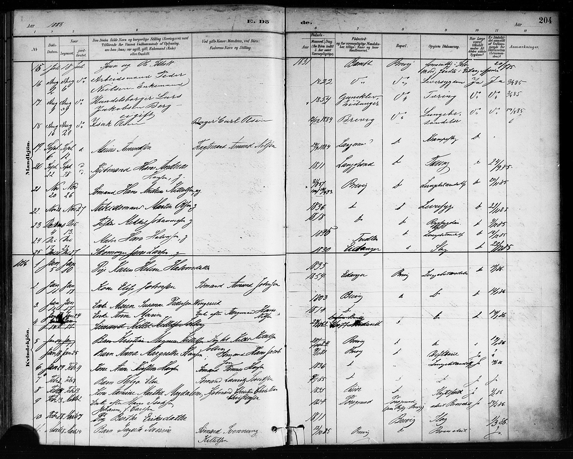 Brevik kirkebøker, SAKO/A-255/F/Fa/L0007: Parish register (official) no. 7, 1882-1900, p. 204