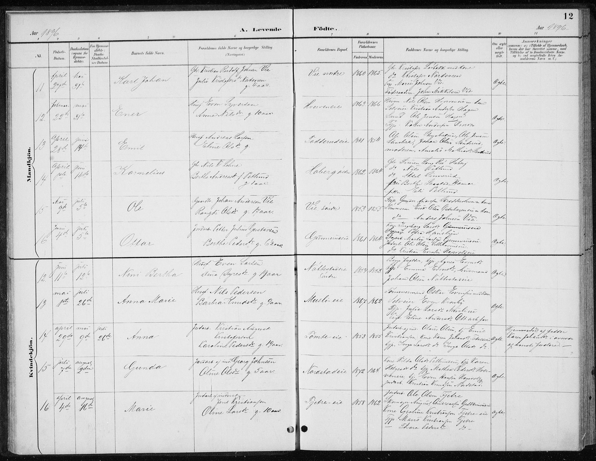 Stange prestekontor, AV/SAH-PREST-002/L/L0010: Parish register (copy) no. 10, 1894-1905, p. 12