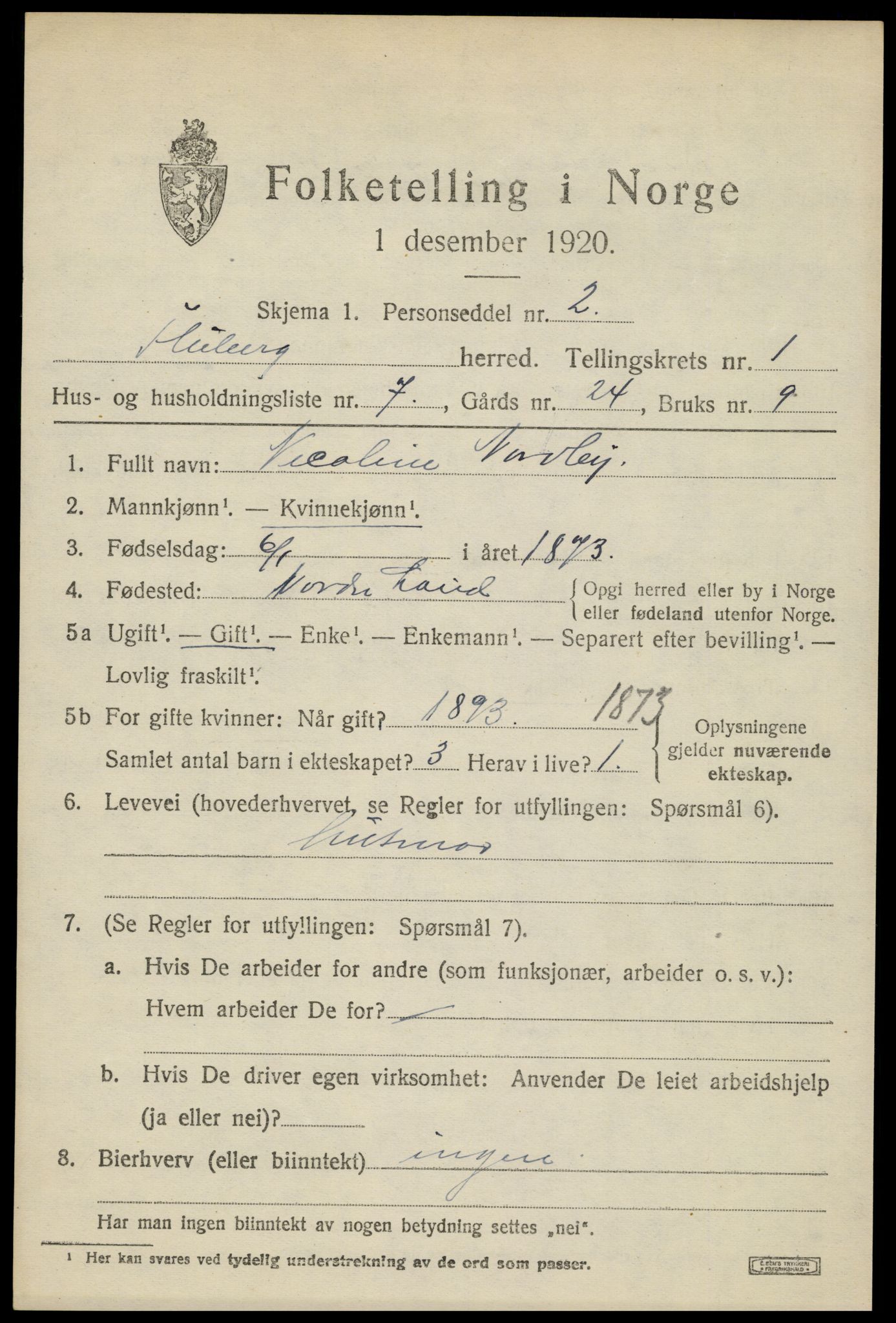 SAH, 1920 census for Fluberg, 1920, p. 904