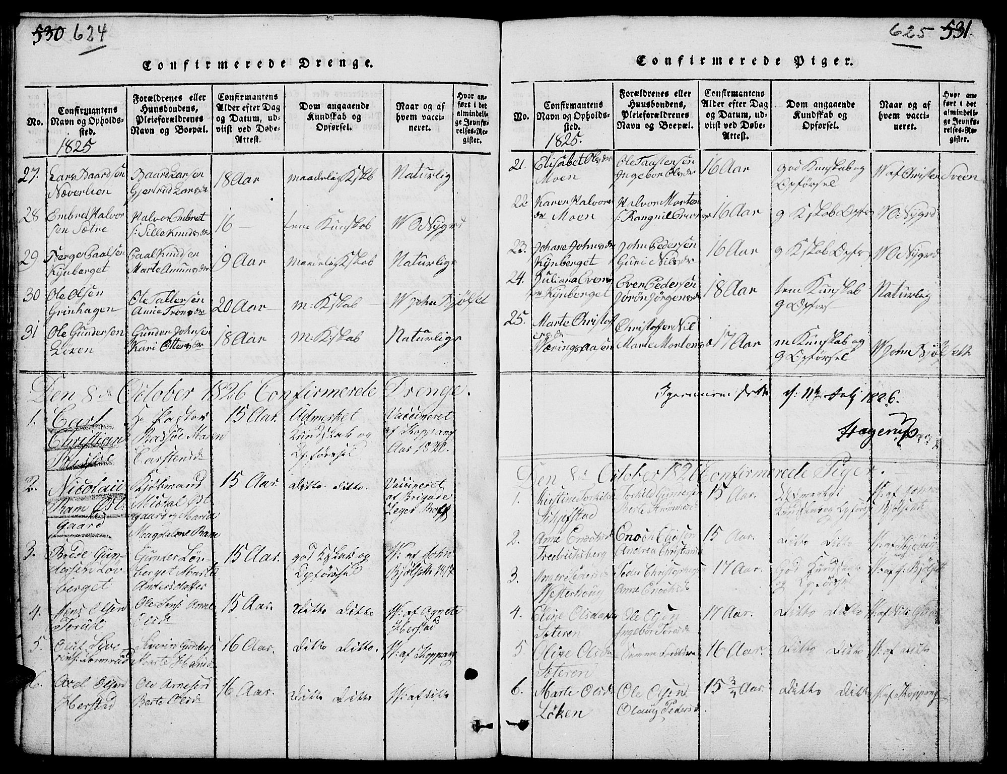 Elverum prestekontor, AV/SAH-PREST-044/H/Ha/Hab/L0001: Parish register (copy) no. 1, 1815-1829, p. 624-625