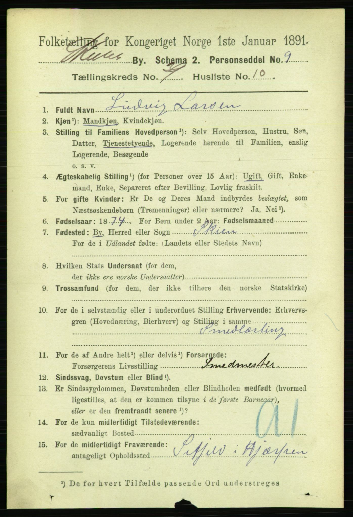 RA, 1891 census for 0806 Skien, 1891, p. 8343