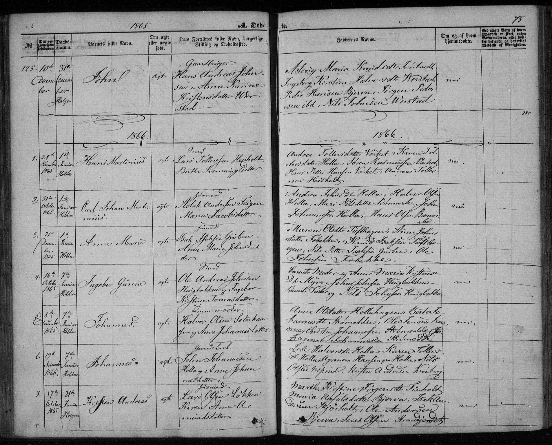 Holla kirkebøker, SAKO/A-272/F/Fa/L0006: Parish register (official) no. 6, 1861-1869, p. 75