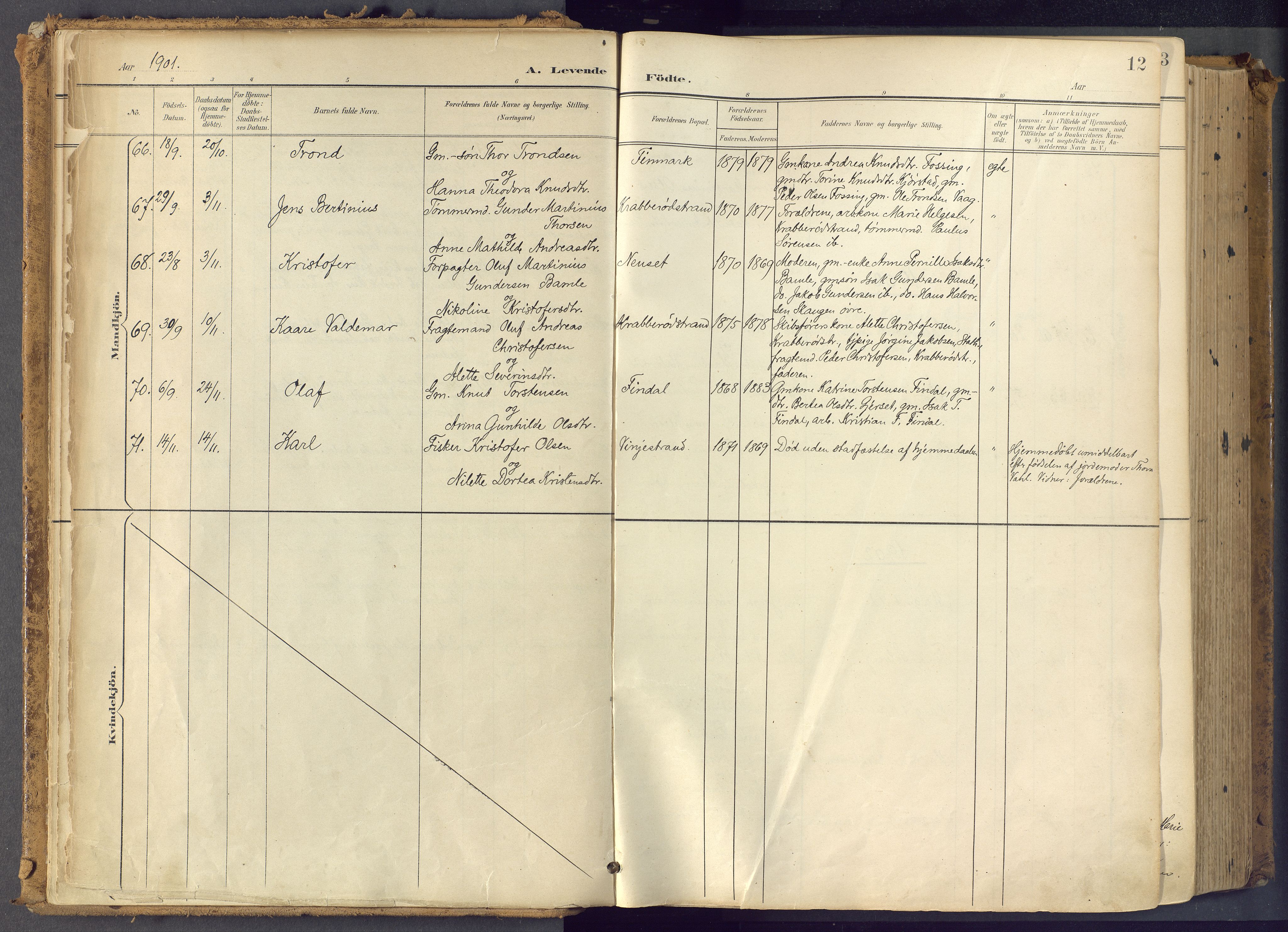 Bamble kirkebøker, SAKO/A-253/F/Fa/L0009: Parish register (official) no. I 9, 1901-1917, p. 12