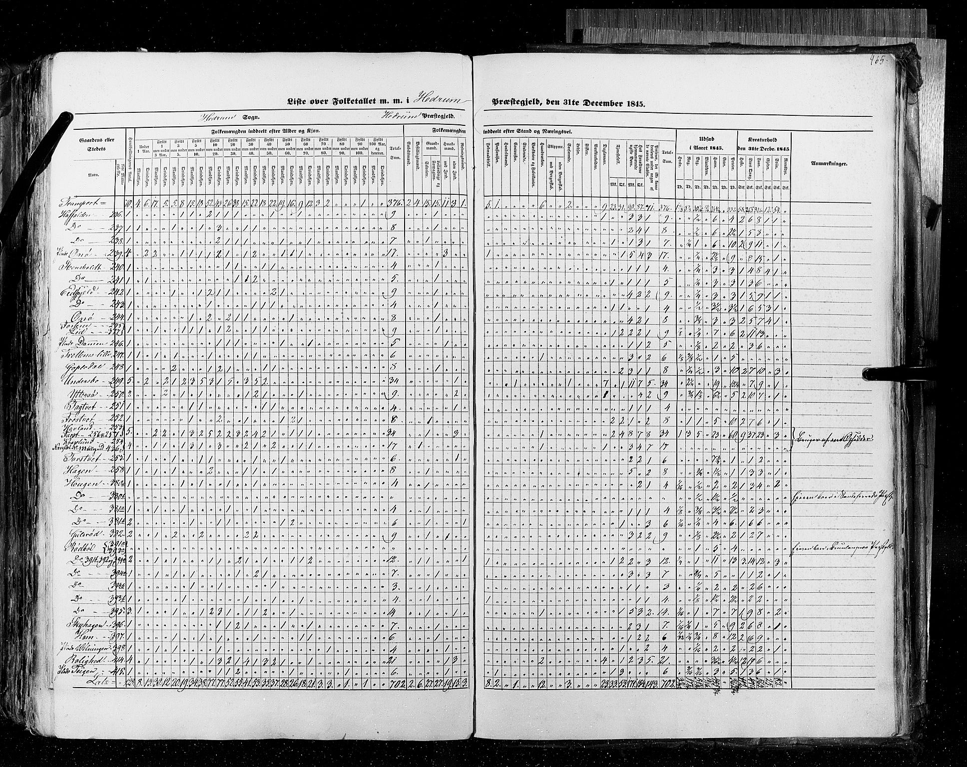 RA, Census 1845, vol. 4: Buskerud amt og Jarlsberg og Larvik amt, 1845, p. 465