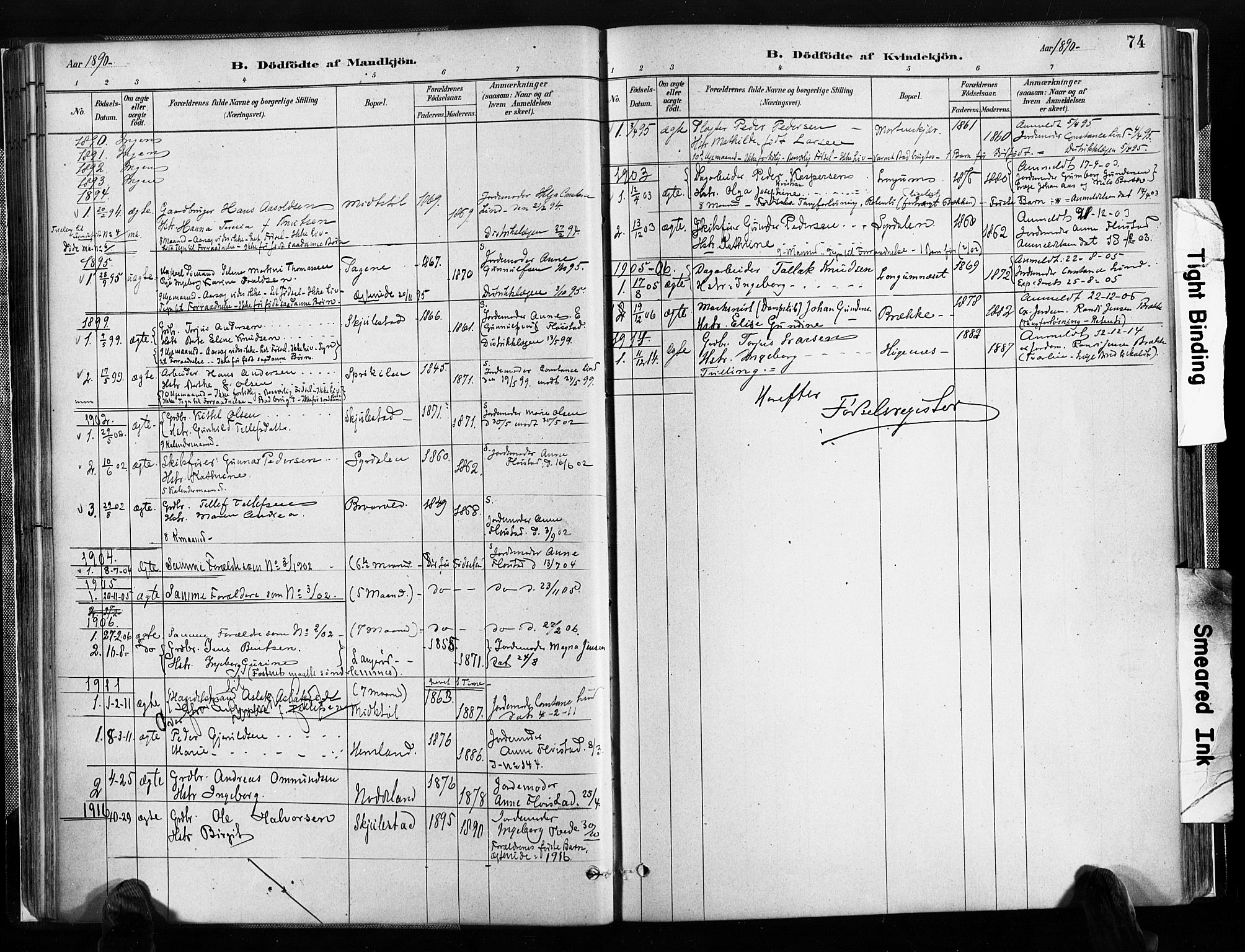 Austre Moland sokneprestkontor, SAK/1111-0001/F/Fa/Faa/L0010: Parish register (official) no. A 10, 1880-1904, p. 74
