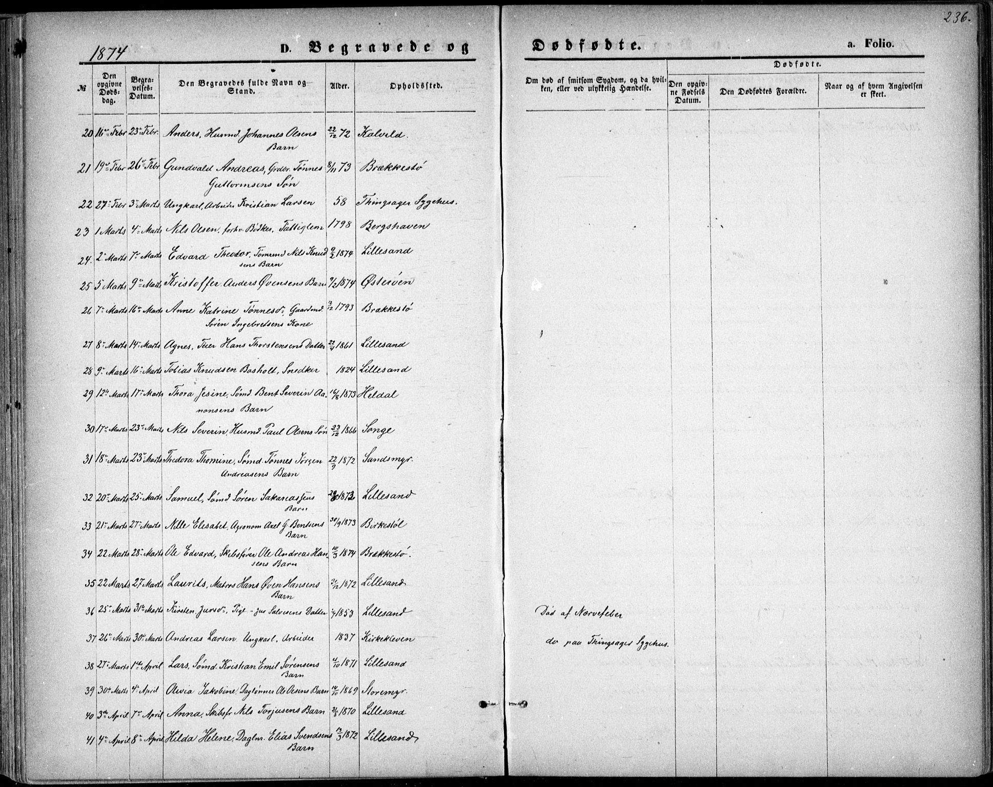 Vestre Moland sokneprestkontor, SAK/1111-0046/F/Fb/Fbb/L0005: Parish register (copy) no. B 5, 1872-1883, p. 236