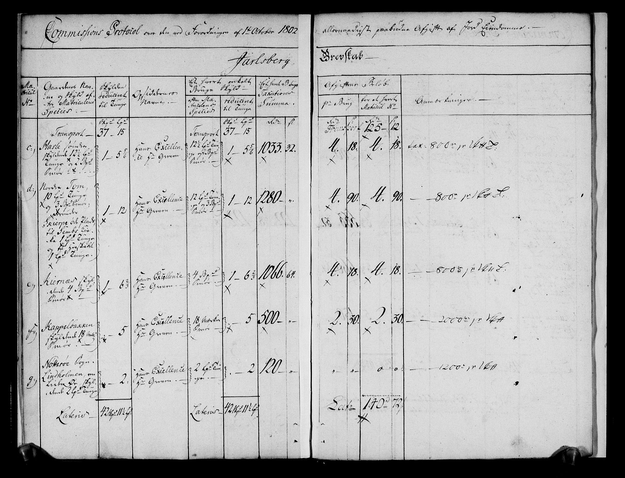 Rentekammeret inntil 1814, Realistisk ordnet avdeling, AV/RA-EA-4070/N/Ne/Nea/L0176: Jarlsberg grevskap. Kommisjonsprotokoll (kontinuasjonsprotokoll for Jarlsberg hovedgård m.m.)., 1803, p. 3