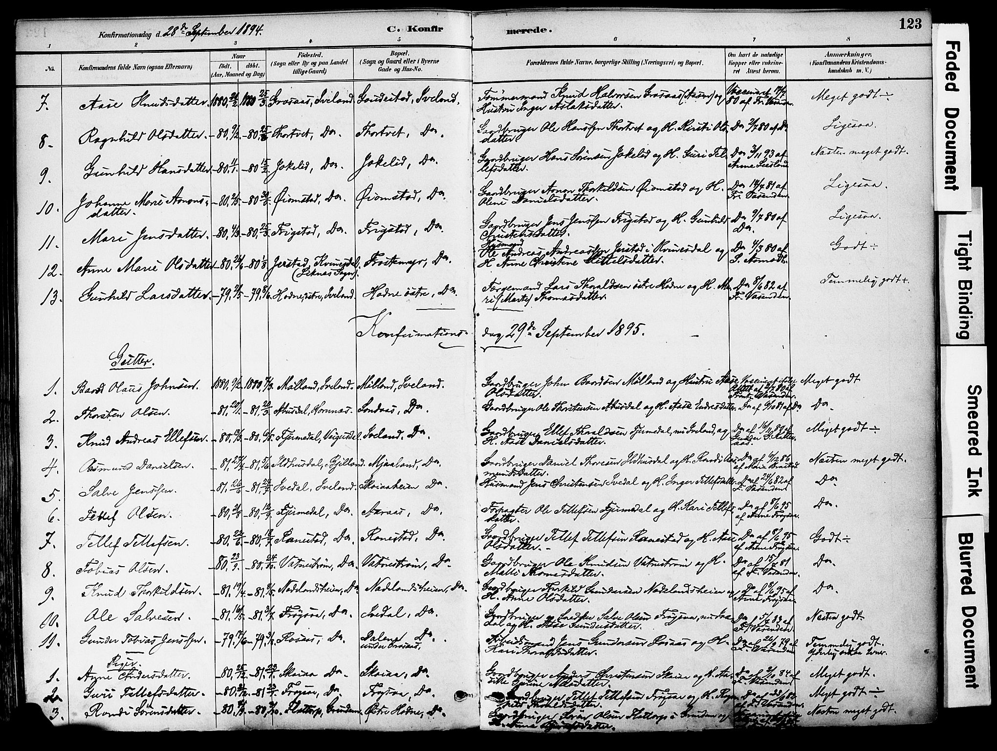 Evje sokneprestkontor, AV/SAK-1111-0008/F/Fa/Fac/L0003: Parish register (official) no. A 3, 1884-1909, p. 123