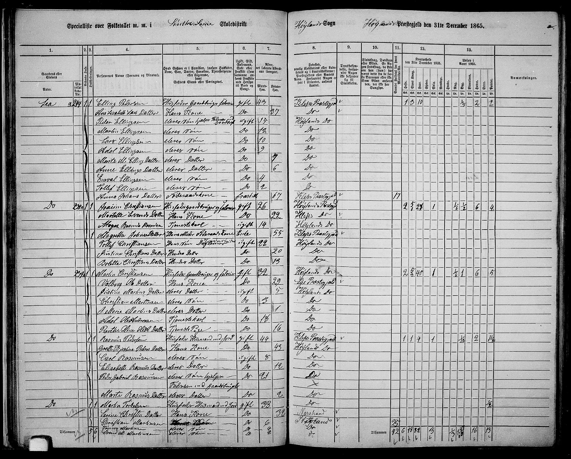 RA, 1865 census for Høyland, 1865, p. 35