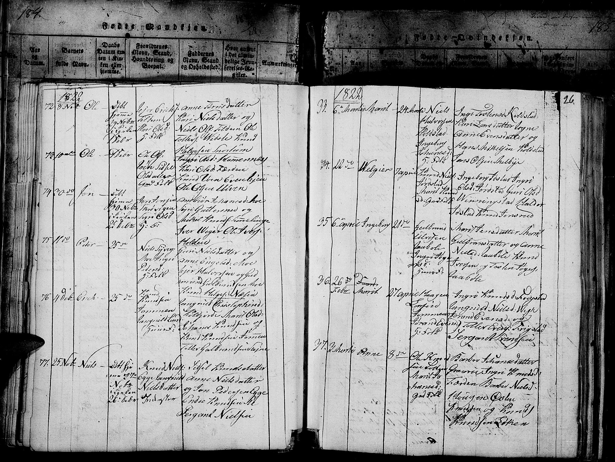 Slidre prestekontor, SAH/PREST-134/H/Ha/Haa/L0002: Parish register (official) no. 2, 1814-1830, p. 184z