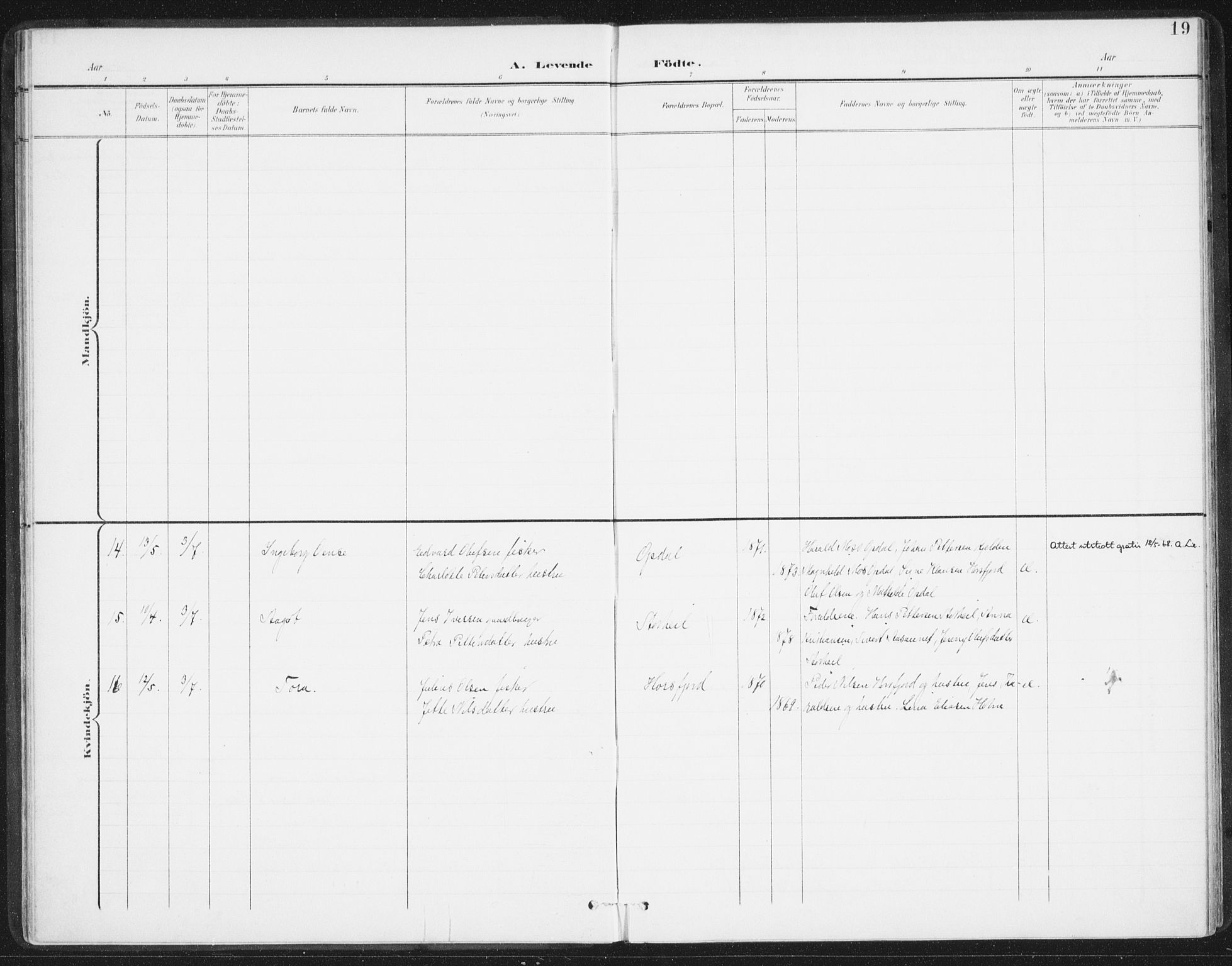 Ministerialprotokoller, klokkerbøker og fødselsregistre - Nordland, AV/SAT-A-1459/811/L0167: Parish register (official) no. 811A04, 1899-1913, p. 19