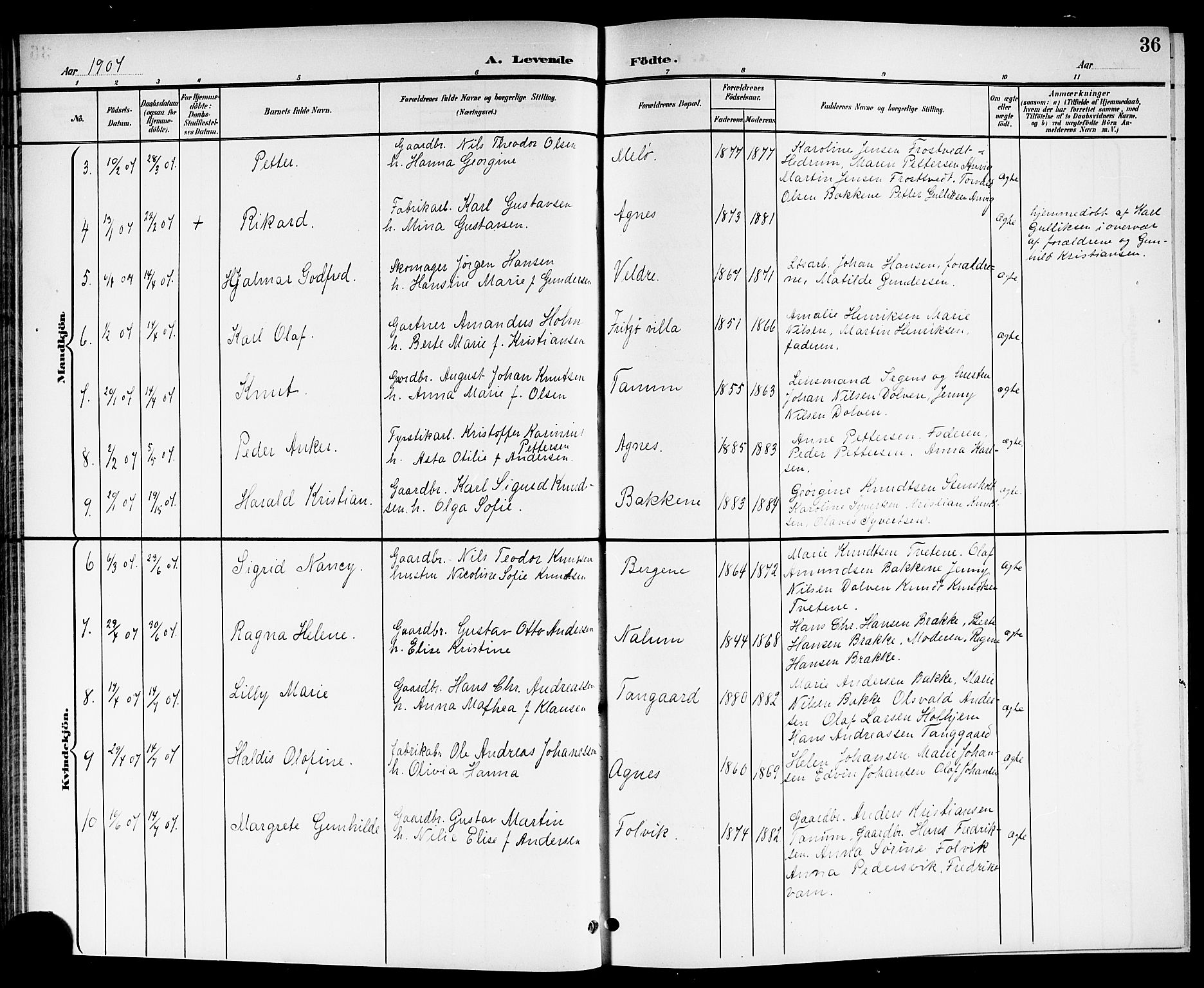 Brunlanes kirkebøker, SAKO/A-342/G/Ga/L0004: Parish register (copy) no. I 4, 1898-1921, p. 36