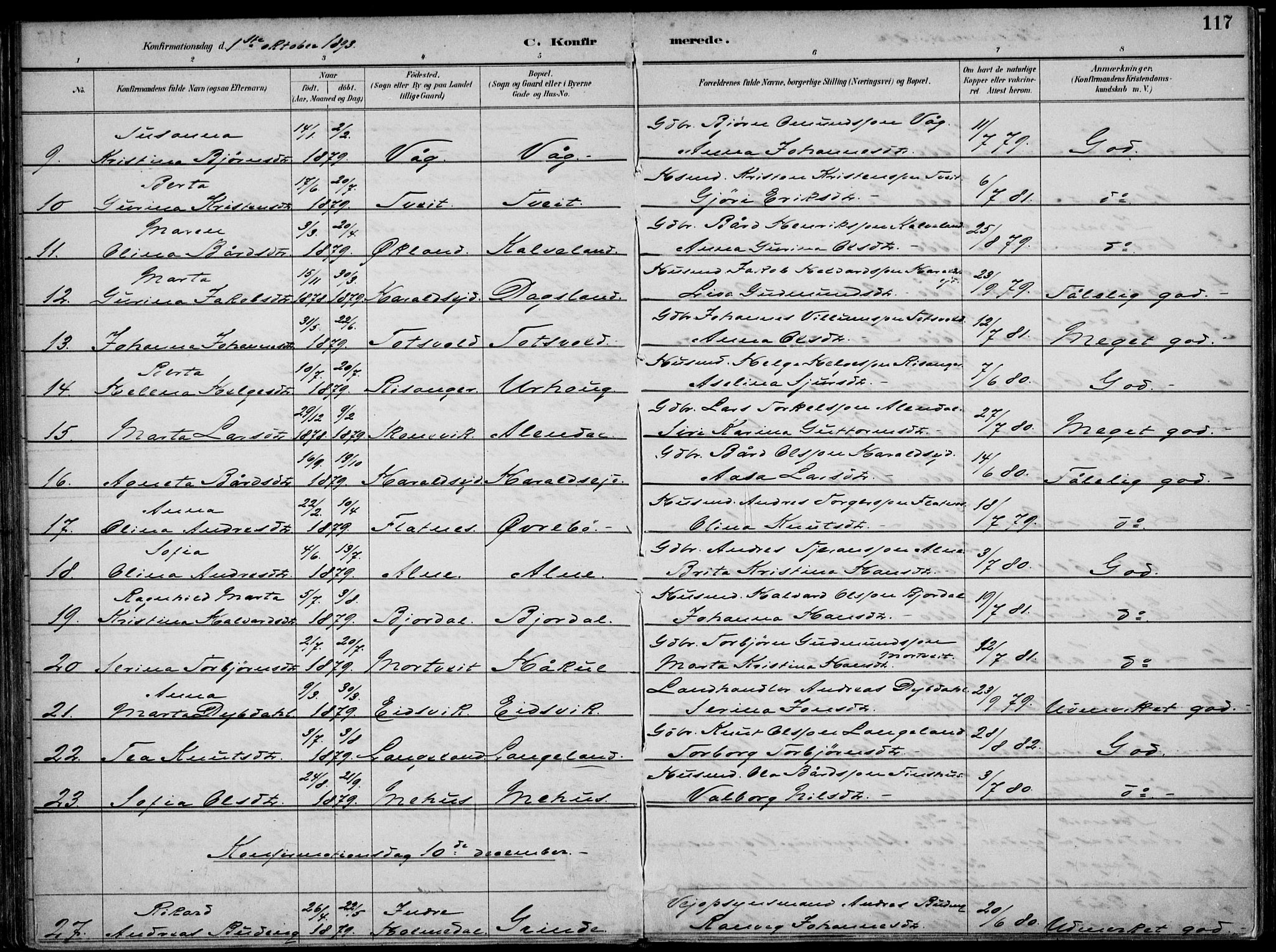 Skjold sokneprestkontor, AV/SAST-A-101847/H/Ha/Haa/L0010: Parish register (official) no. A 10, 1882-1897, p. 117