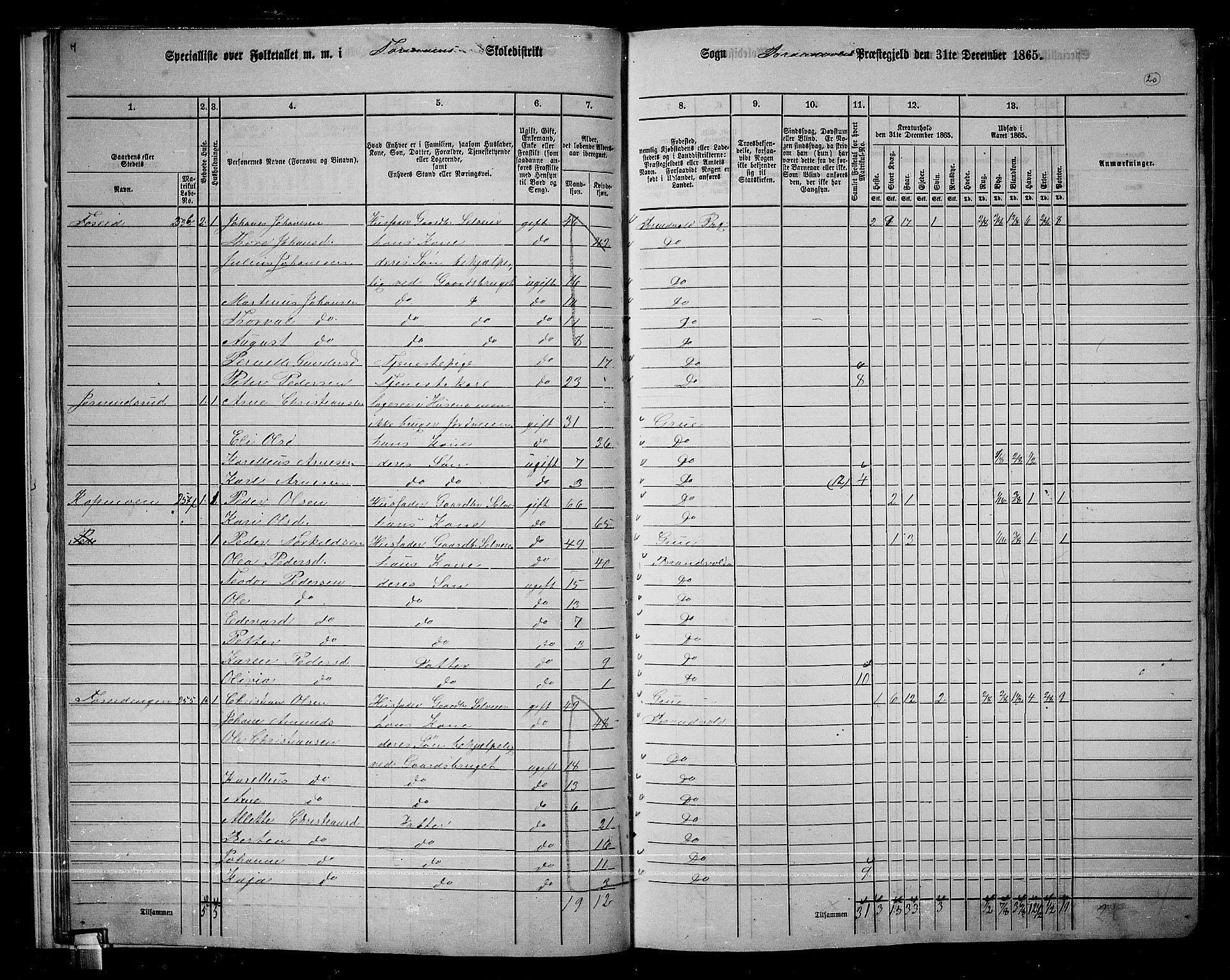 RA, 1865 census for Brandval, 1865, p. 19