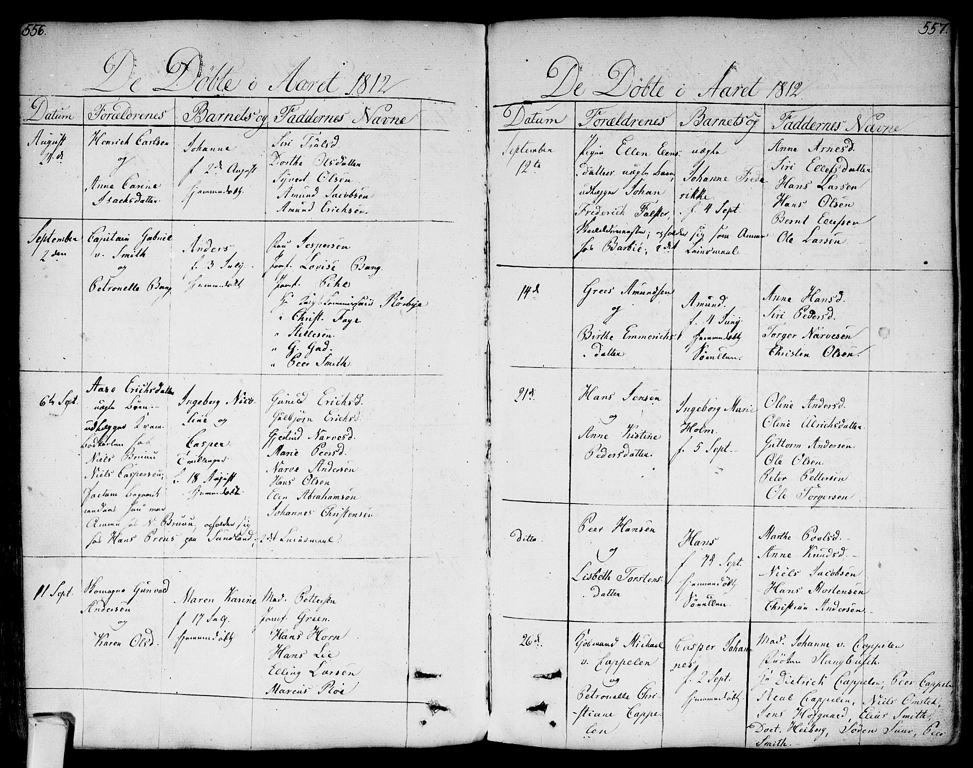 Bragernes kirkebøker, SAKO/A-6/F/Fa/L0006a: Parish register (official) no. I 6, 1782-1814, p. 556-557