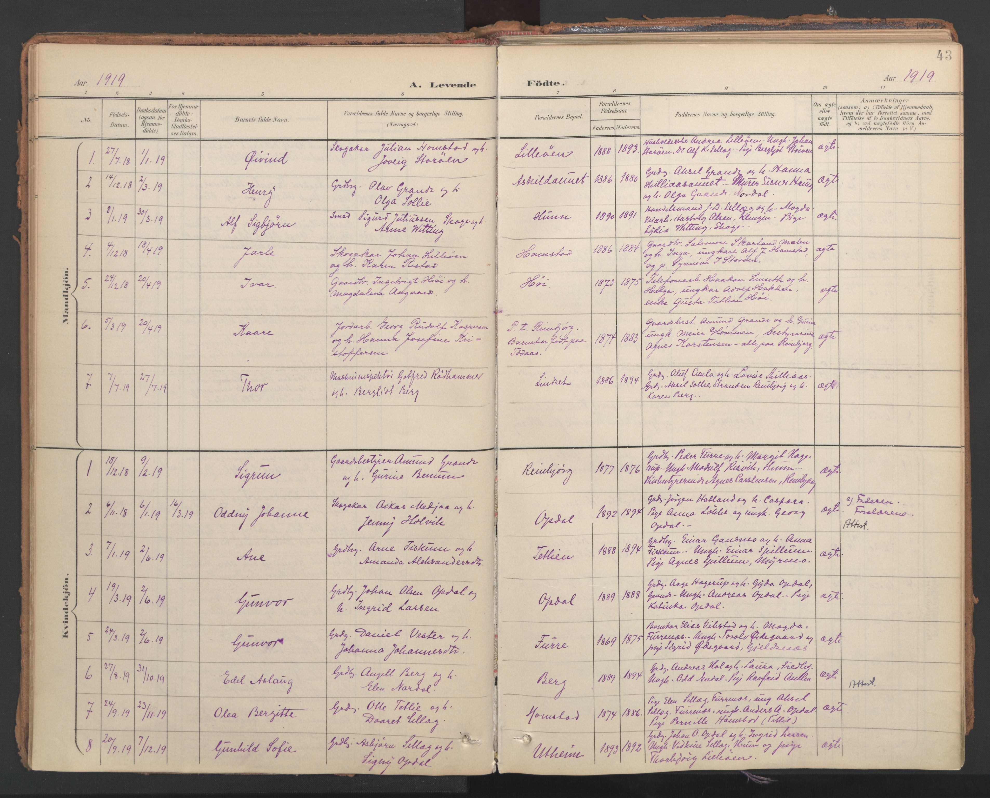 Ministerialprotokoller, klokkerbøker og fødselsregistre - Nord-Trøndelag, SAT/A-1458/766/L0564: Parish register (official) no. 767A02, 1900-1932, p. 43