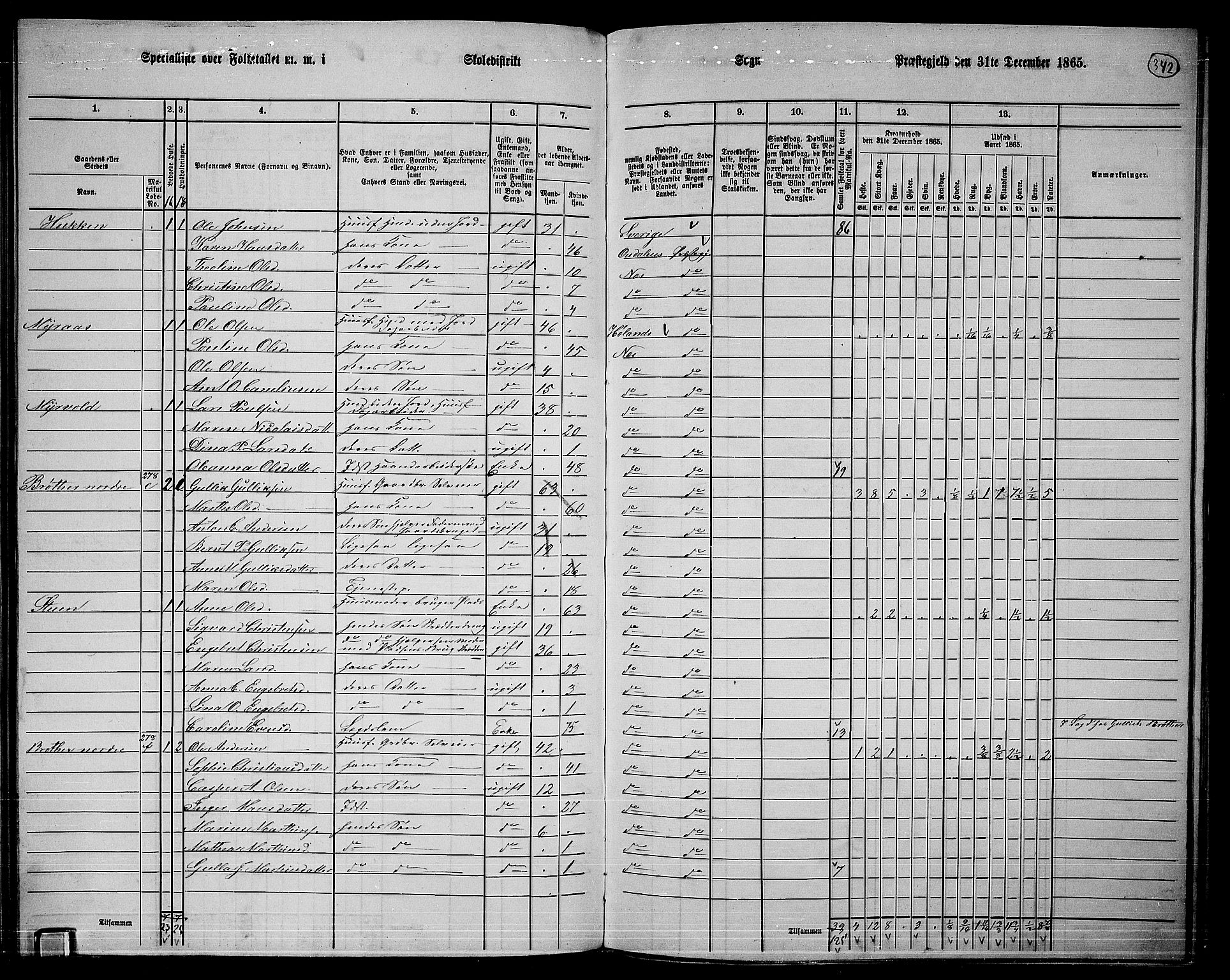 RA, 1865 census for Nes, 1865, p. 312