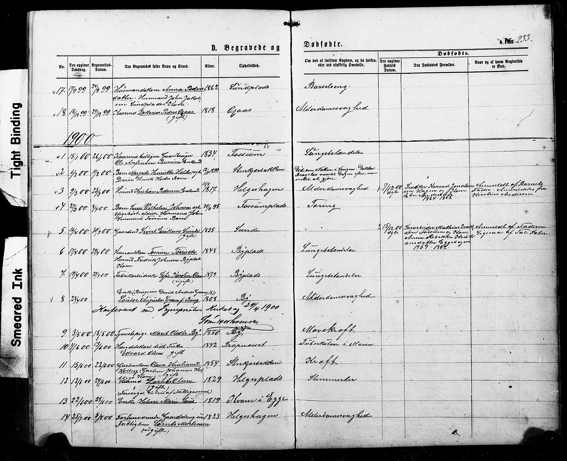 Ministerialprotokoller, klokkerbøker og fødselsregistre - Nord-Trøndelag, SAT/A-1458/740/L0380: Parish register (copy) no. 740C01, 1868-1902, p. 233