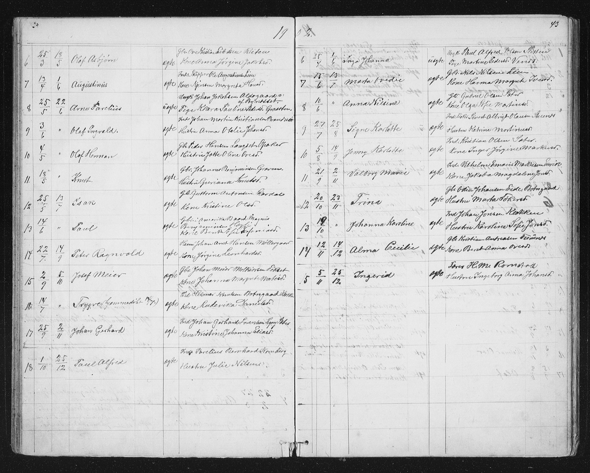 Ministerialprotokoller, klokkerbøker og fødselsregistre - Sør-Trøndelag, AV/SAT-A-1456/651/L0647: Parish register (copy) no. 651C01, 1866-1914, p. 43