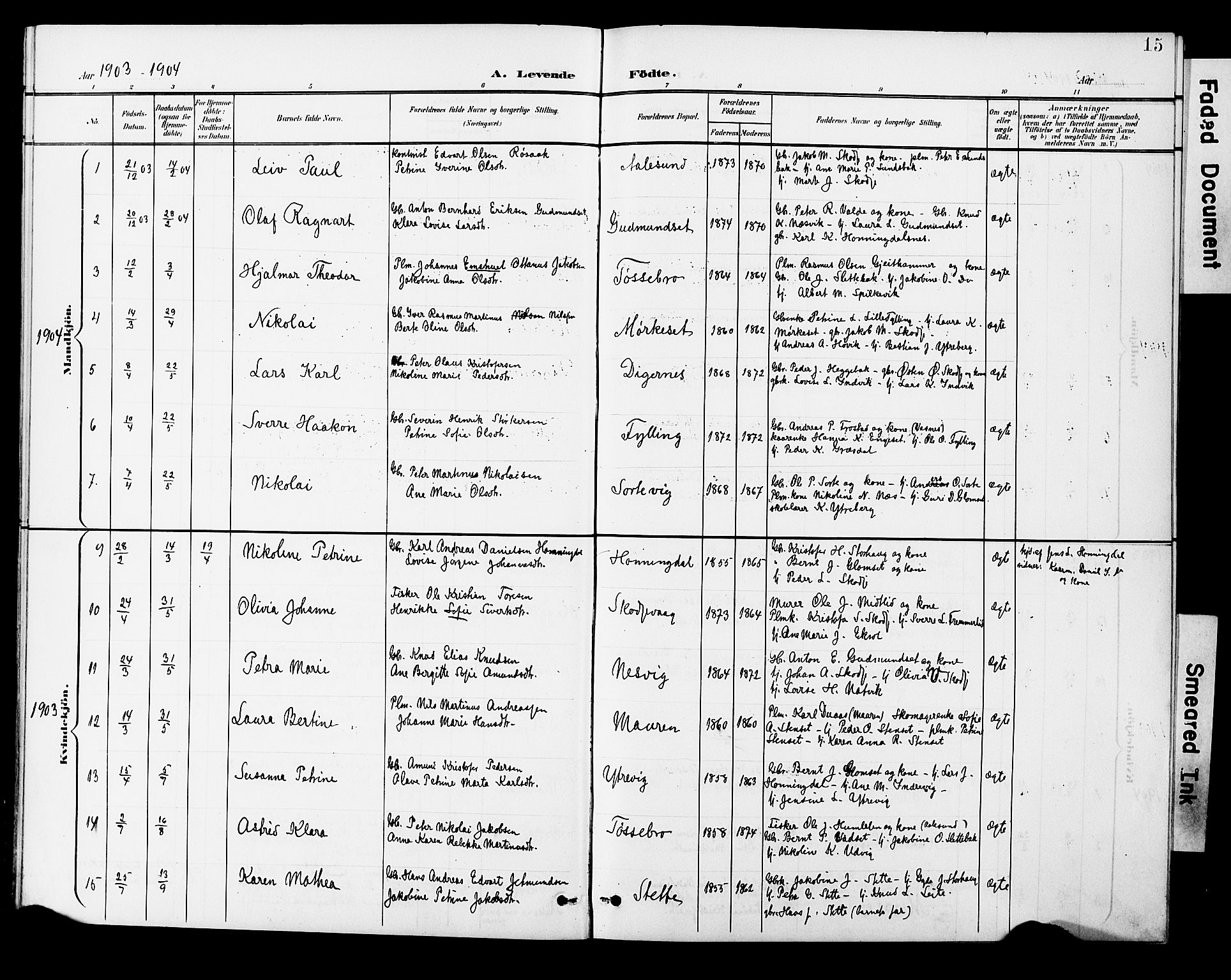 Ministerialprotokoller, klokkerbøker og fødselsregistre - Møre og Romsdal, AV/SAT-A-1454/524/L0366: Parish register (copy) no. 524C07, 1900-1931, p. 15