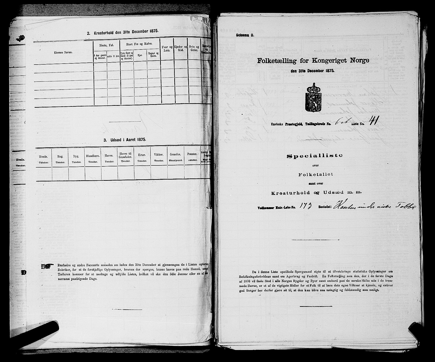 RA, 1875 census for 0229P Enebakk, 1875, p. 1099