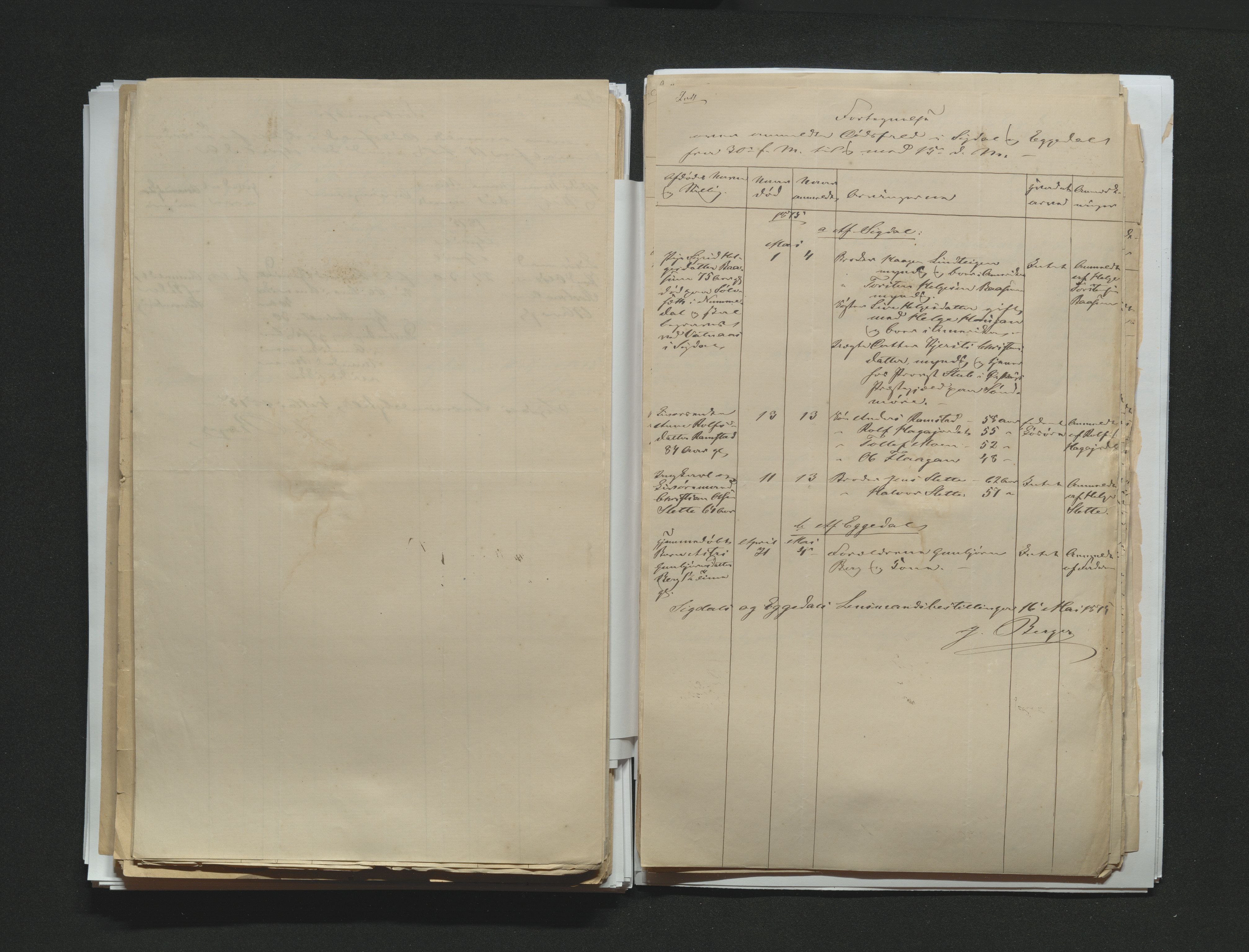 Eiker, Modum og Sigdal sorenskriveri, AV/SAKO-A-123/H/Ha/Hab/L0014: Dødsfallsmeldinger, 1874-1877, p. 292