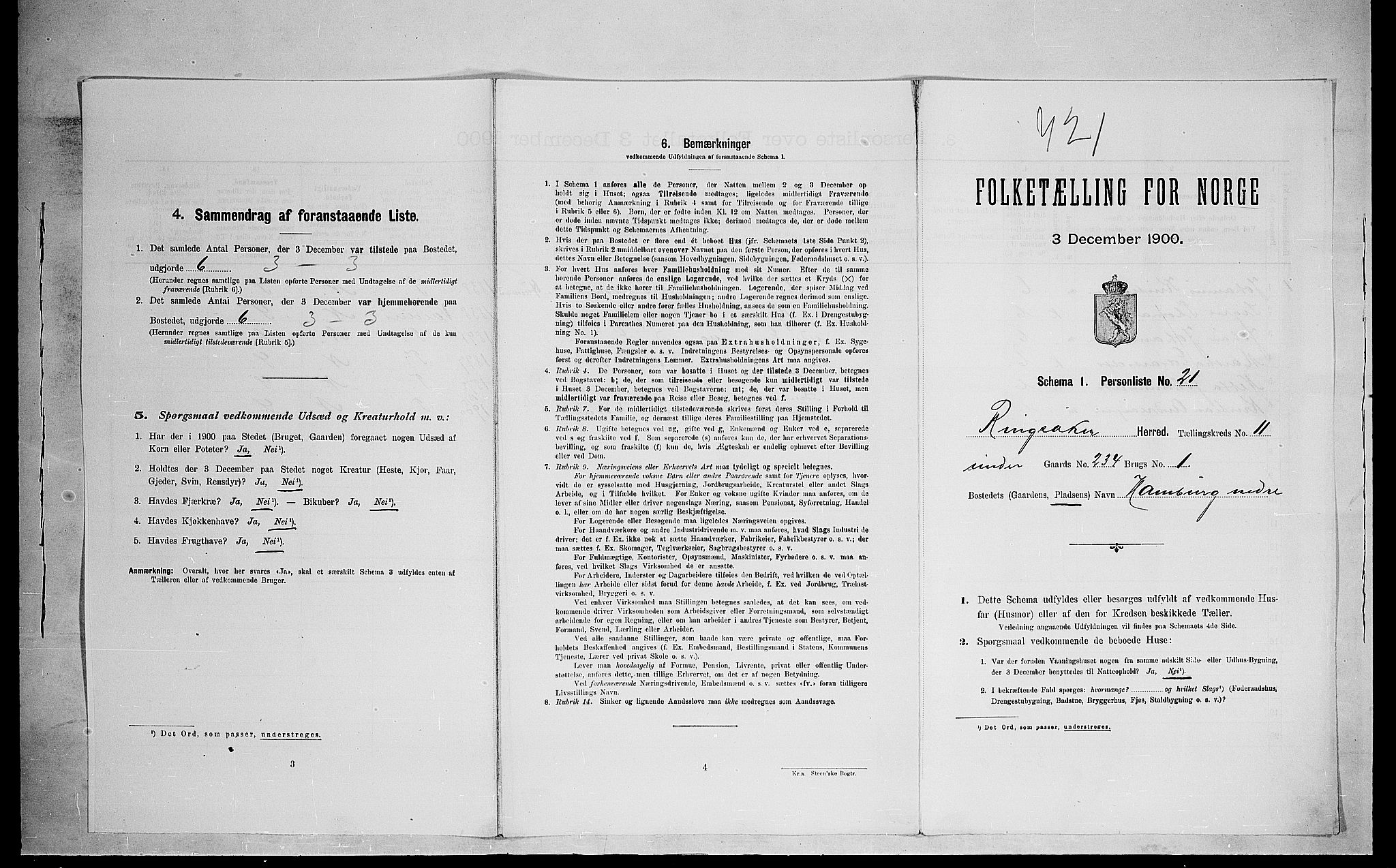 SAH, 1900 census for Ringsaker, 1900, p. 2041