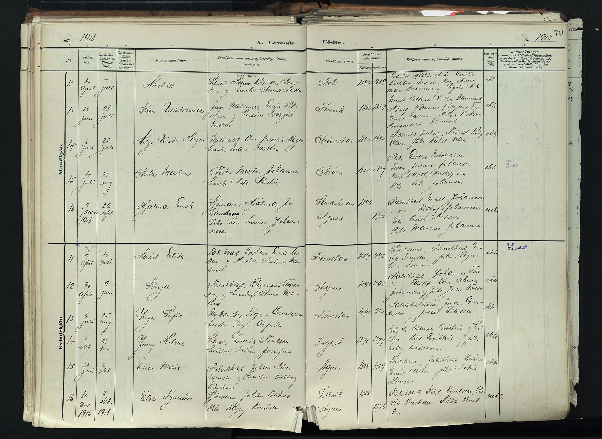 Brunlanes kirkebøker, AV/SAKO-A-342/F/Fc/L0003: Parish register (official) no. III 3, 1900-1922, p. 79