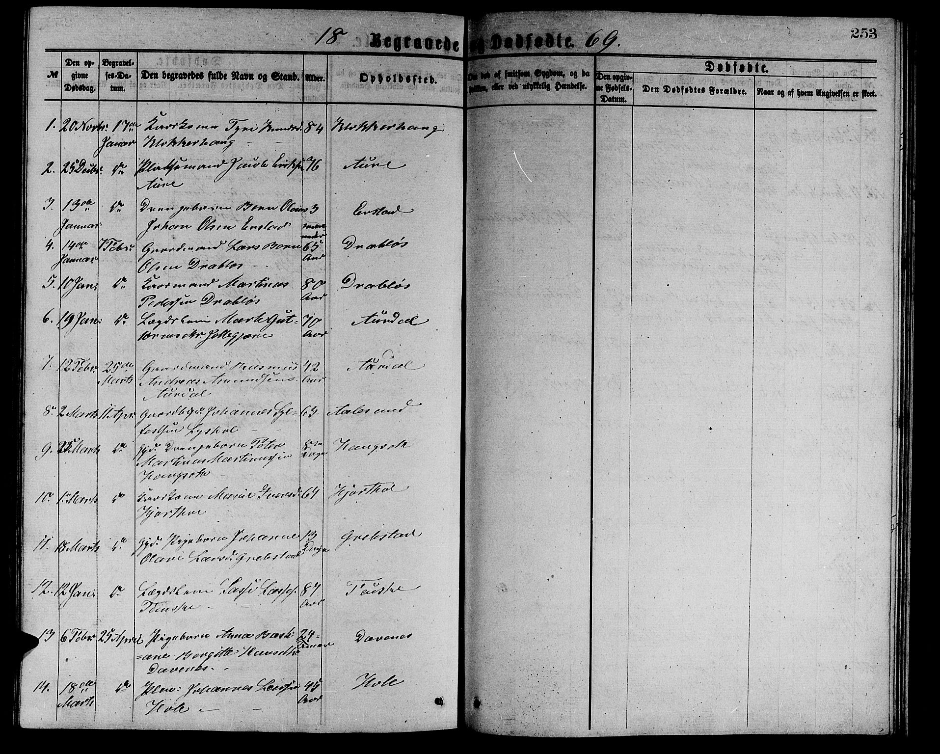 Ministerialprotokoller, klokkerbøker og fødselsregistre - Møre og Romsdal, AV/SAT-A-1454/523/L0338: Parish register (copy) no. 523C01, 1865-1877, p. 253